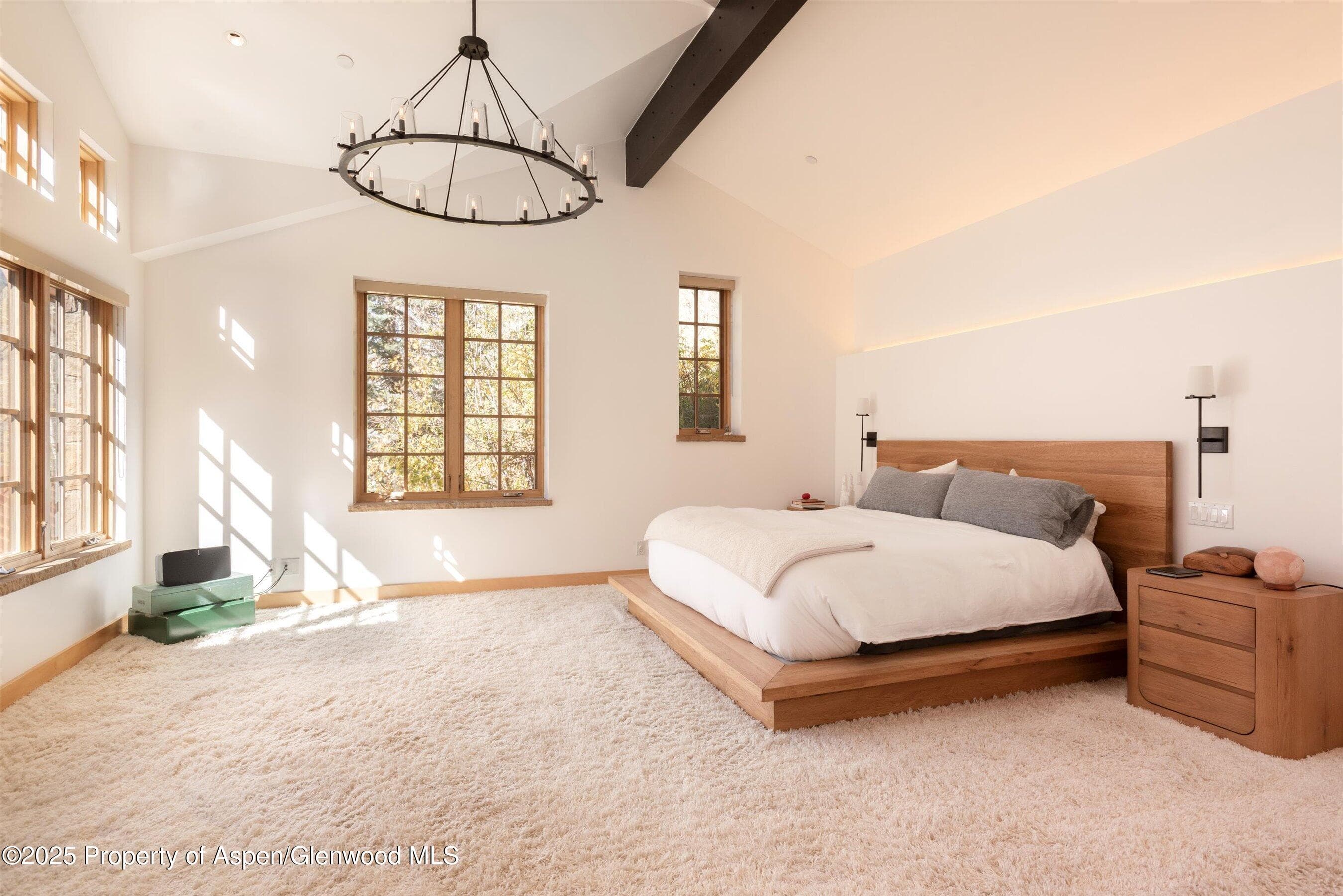 6770 Castle Creek Road, Aspen, CO 81611 - Photo 17