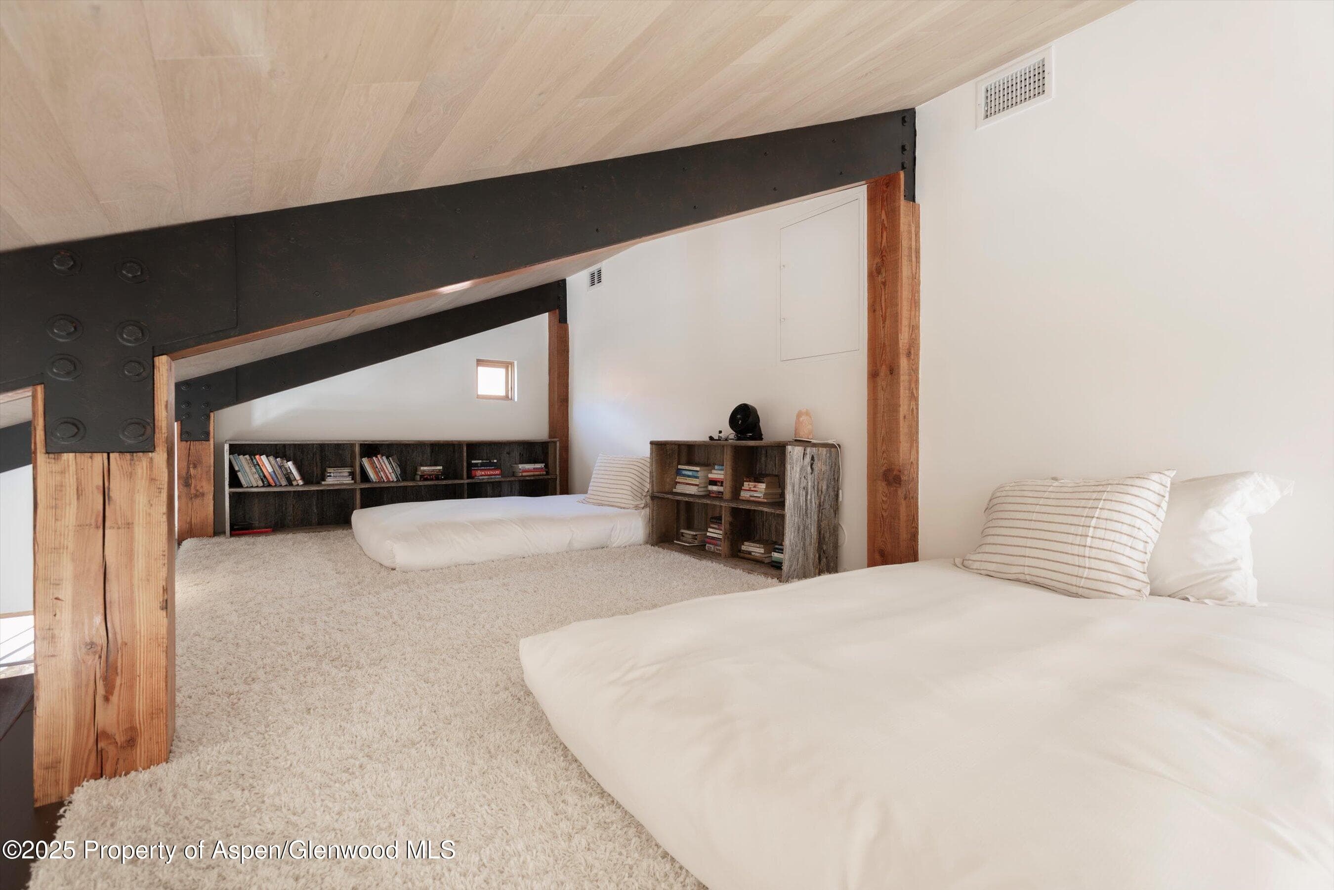 6770 Castle Creek Road, Aspen, CO 81611 - Photo 24