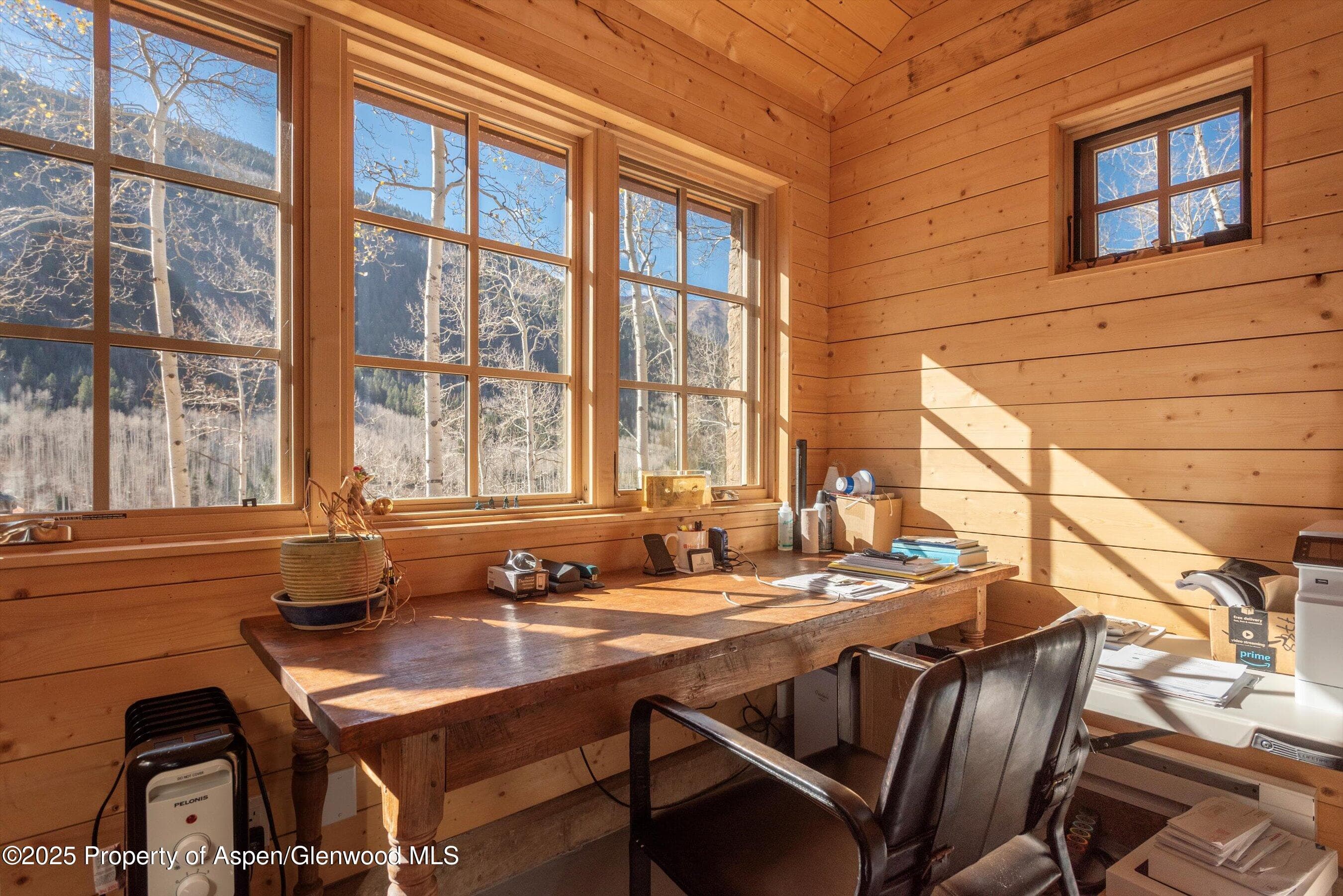6770 Castle Creek Road, Aspen, CO 81611 - Photo 45