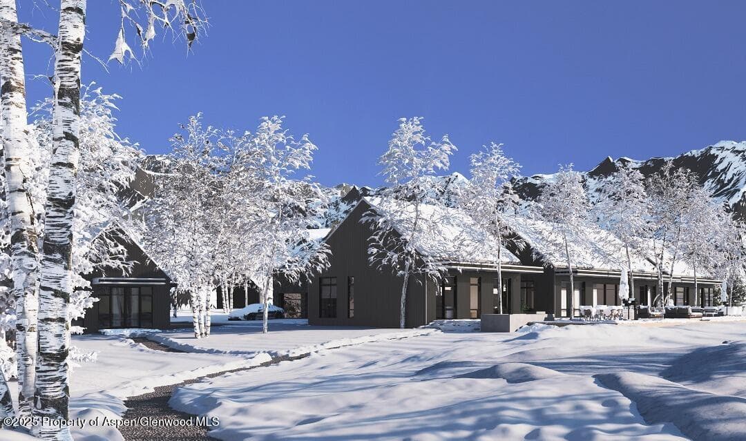 114-116 White Star Lane, Aspen, CO 81611 - Photo 11