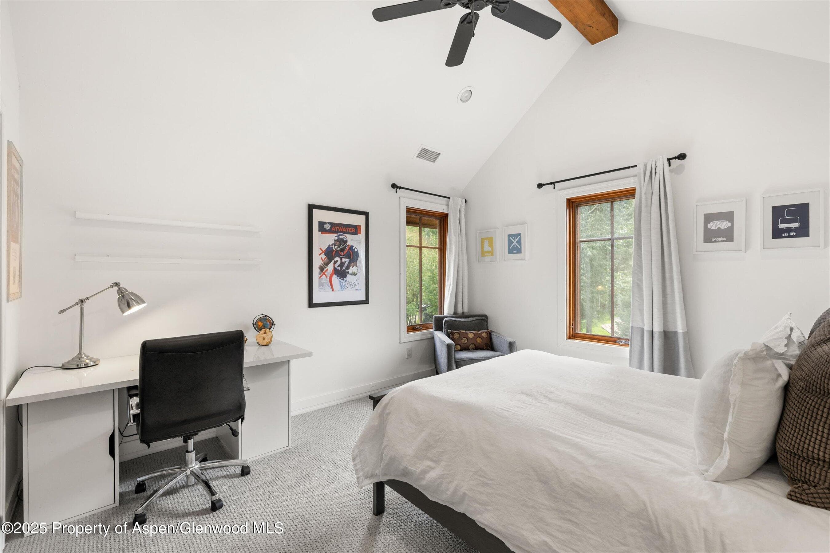 41 Choke Cherry Court, Carbondale, CO 81623 - Photo 18