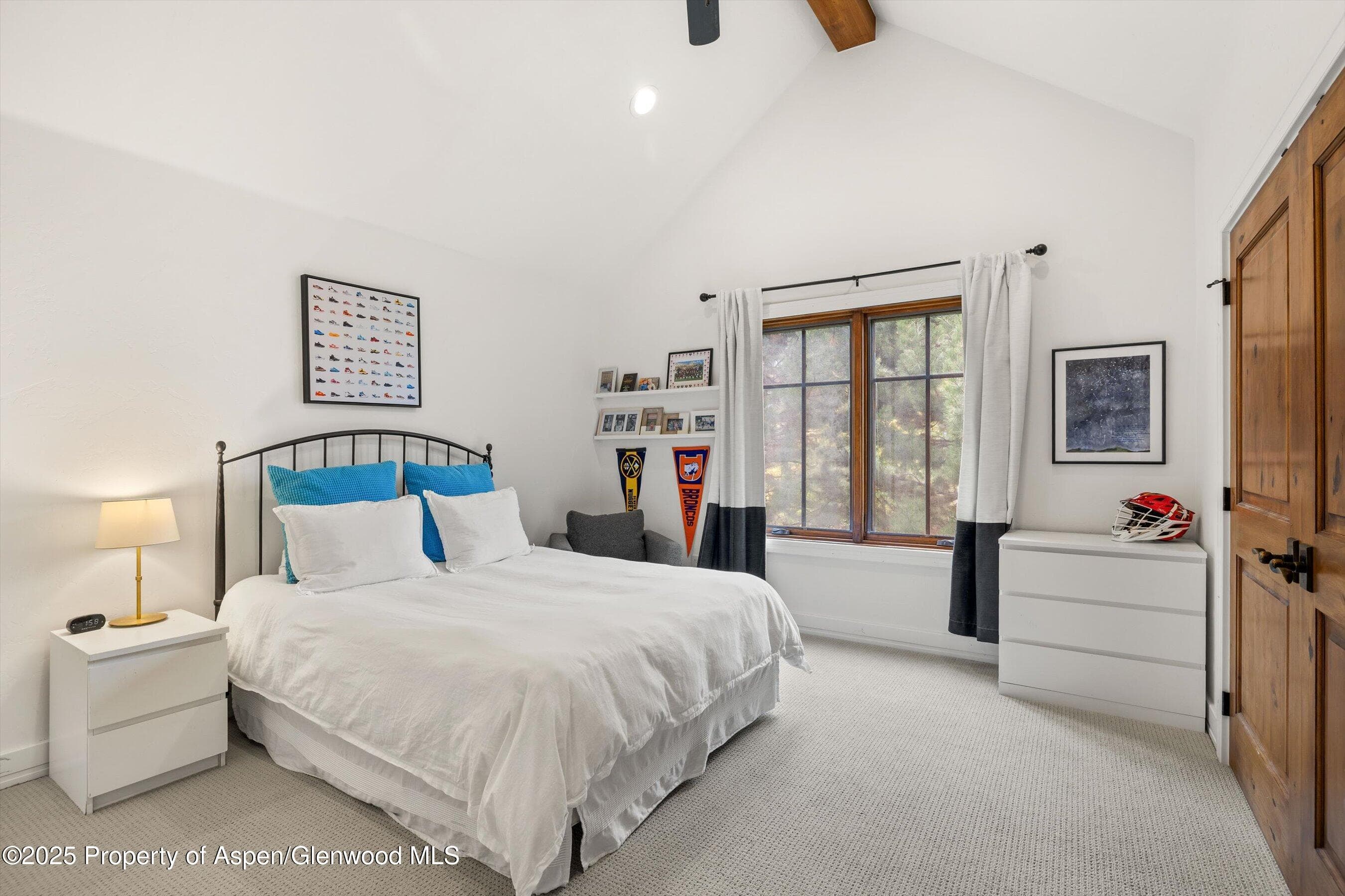 41 Choke Cherry Court, Carbondale, CO 81623 - Photo 21