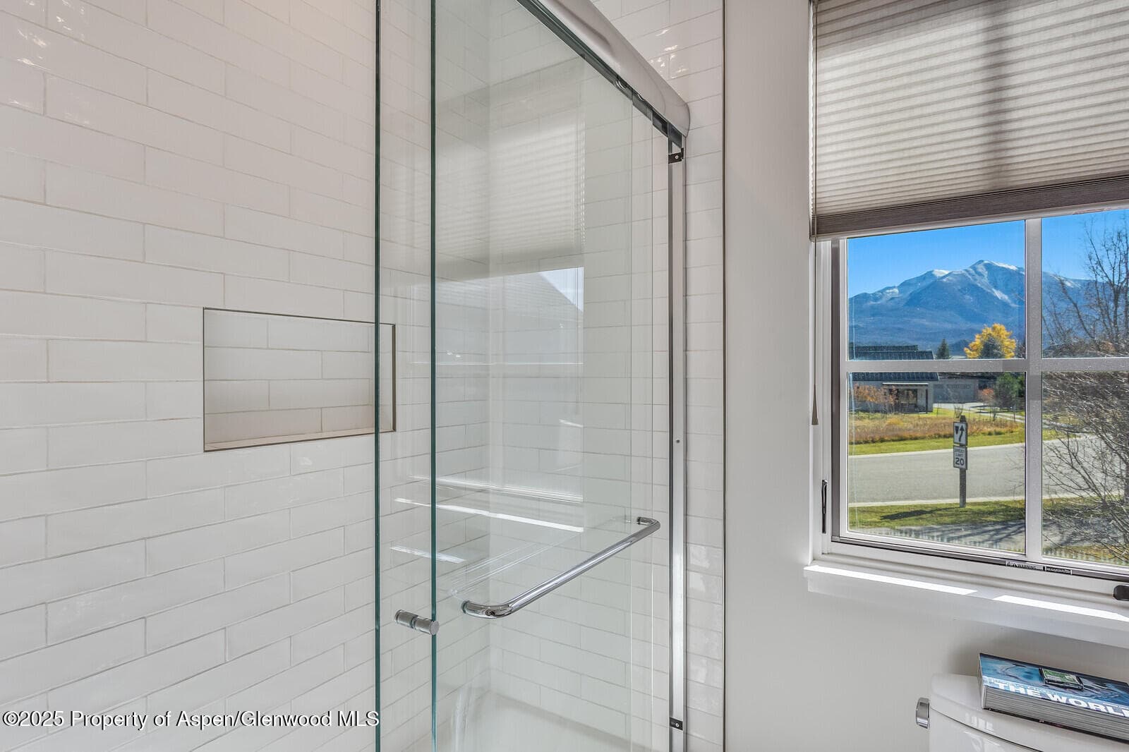 283 Crystal Canyon Drive, Carbondale, CO 81623 - Photo 49