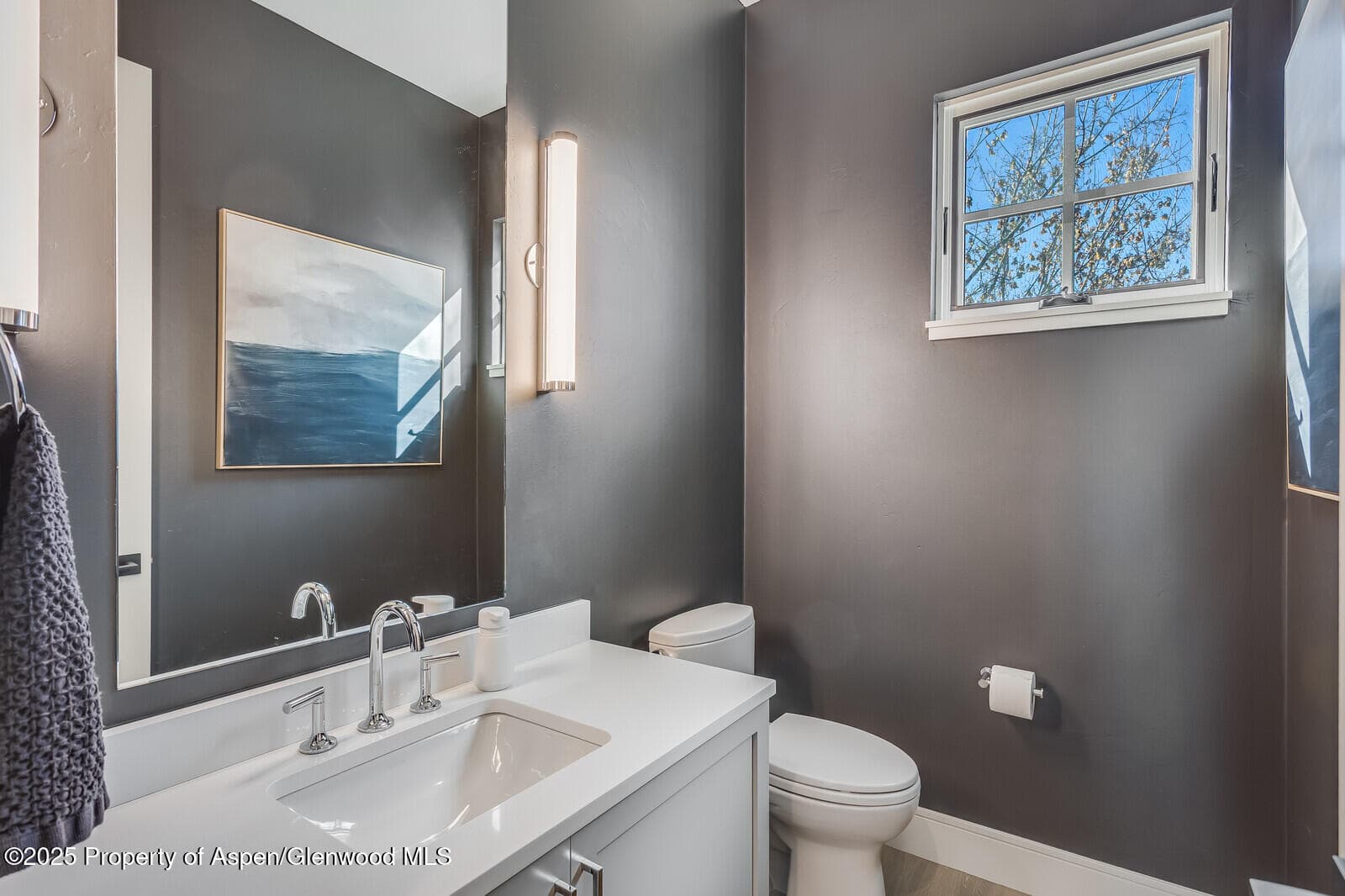 283 Crystal Canyon Drive, Carbondale, CO 81623 - Photo 25