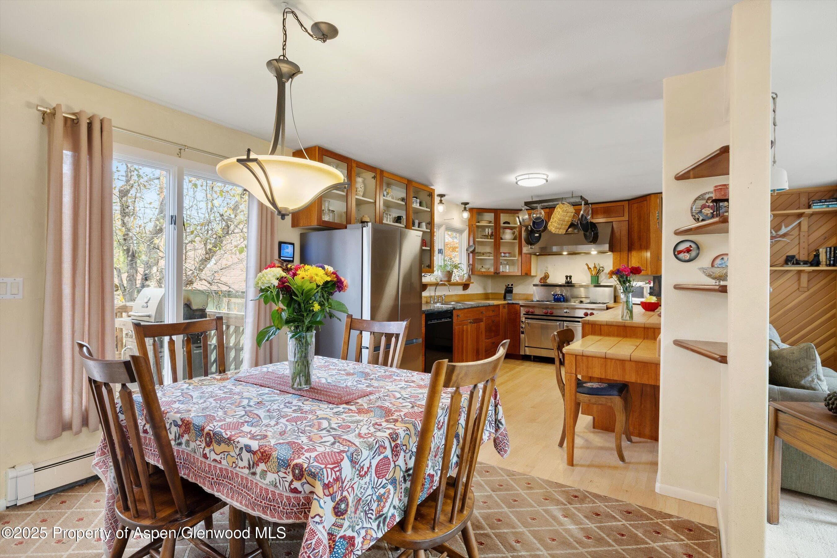 451 Euclid Avenue, Carbondale, CO 81623 - Photo 10