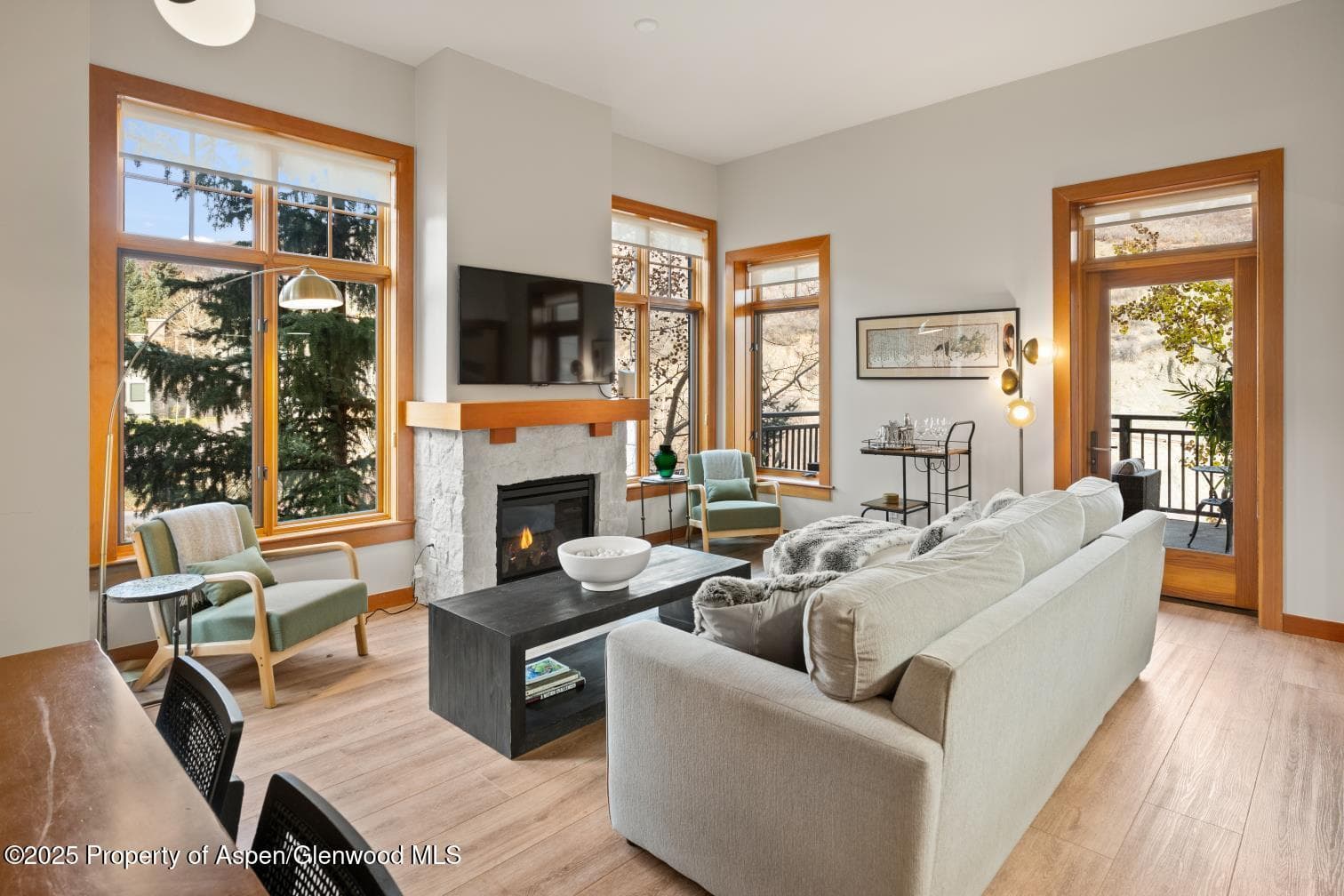 60 carriage 3029, Snowmass Village, CO 81615 - Photo 3