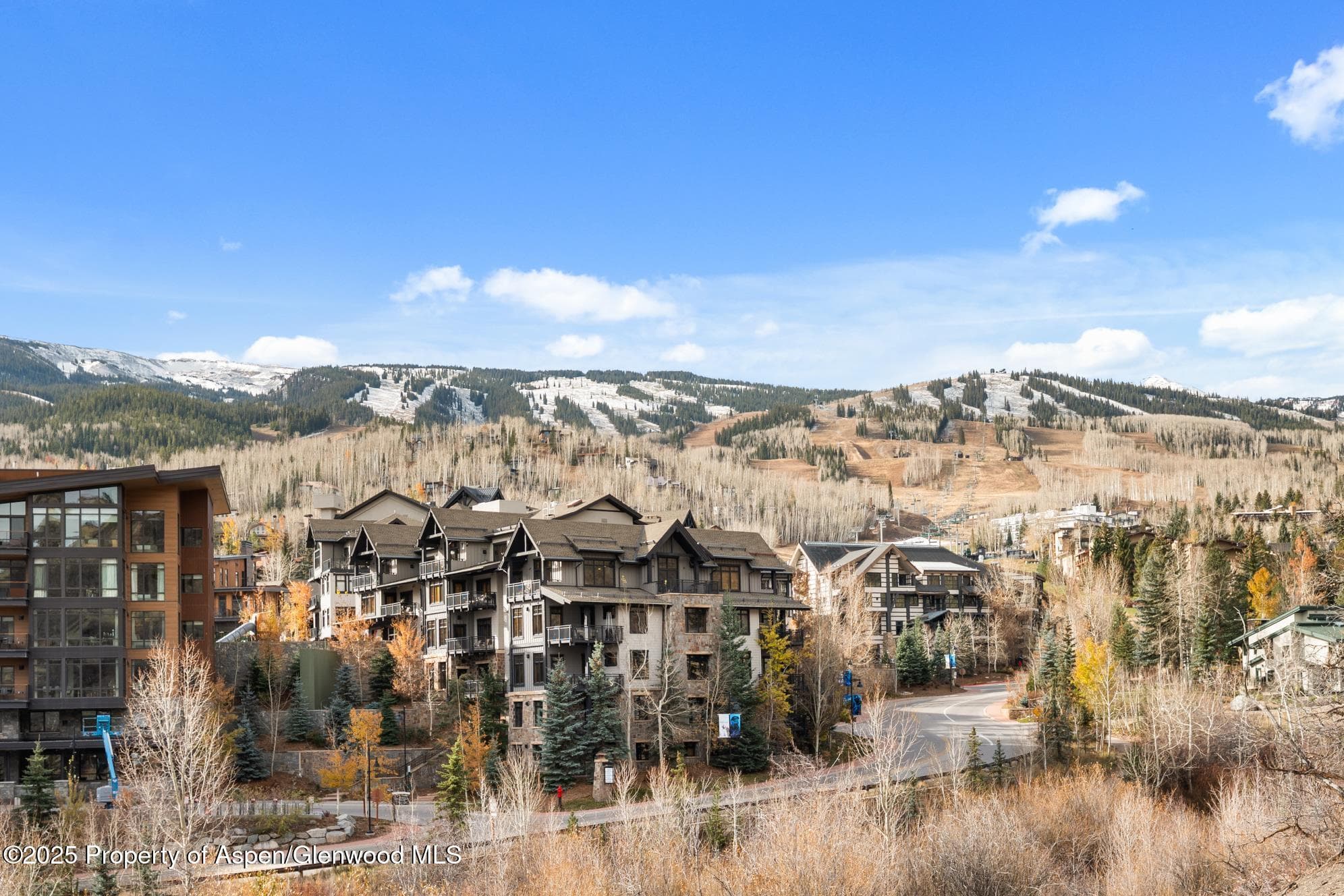 60 carriage 3029, Snowmass Village, CO 81615 - Photo 16
