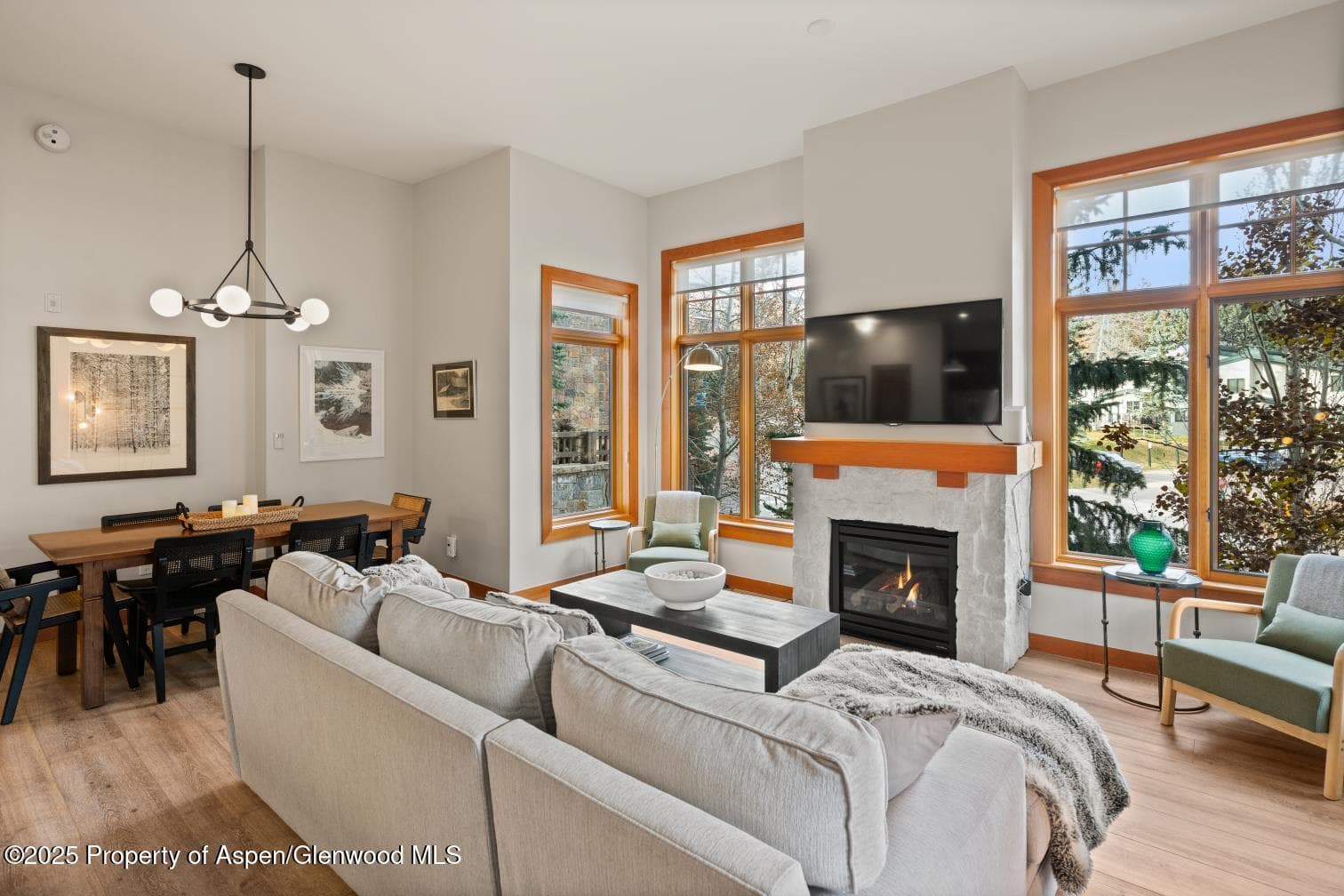 60 carriage 3029, Snowmass Village, CO 81615 - Photo 17