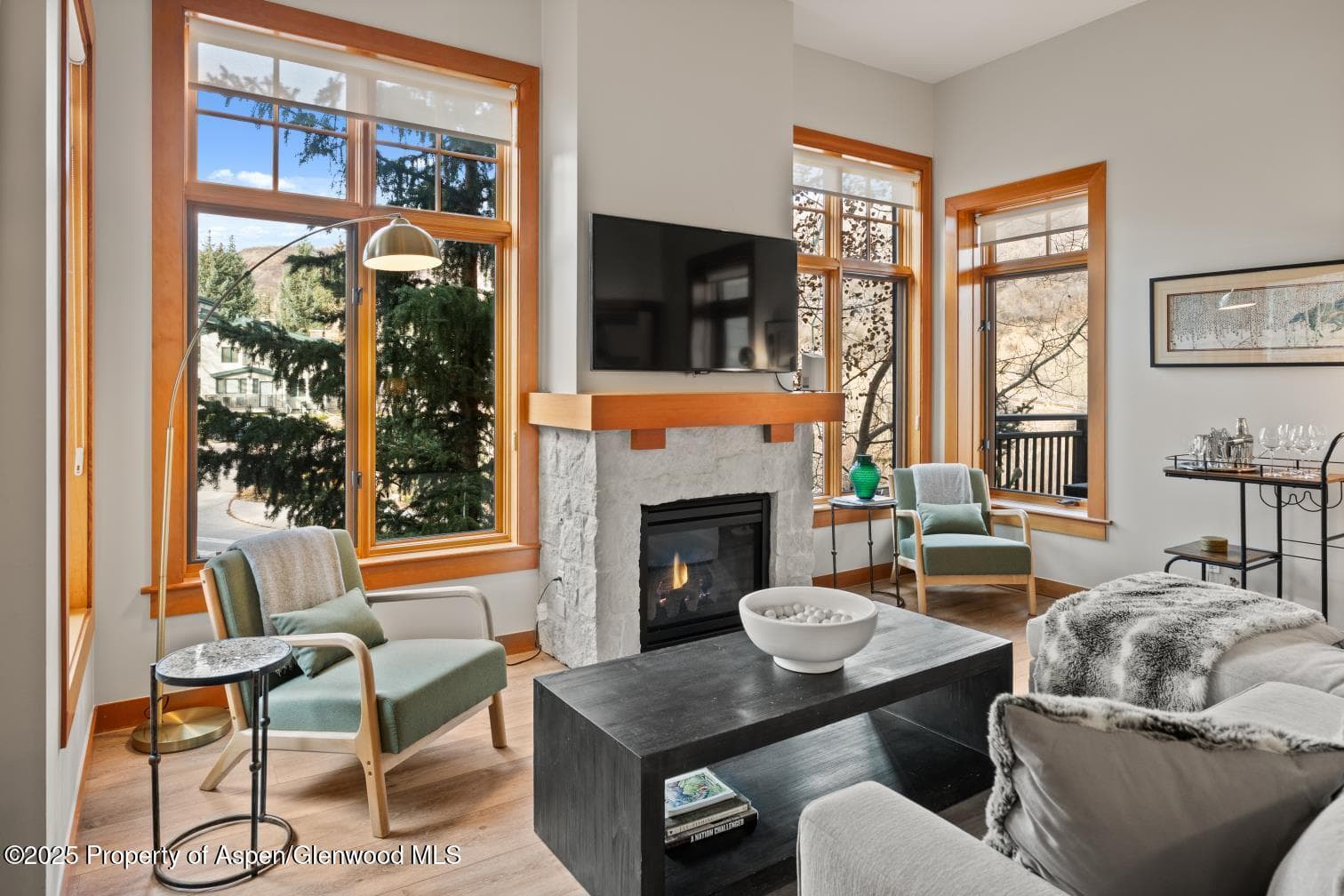 60 carriage 3029, Snowmass Village, CO 81615 - Photo 20