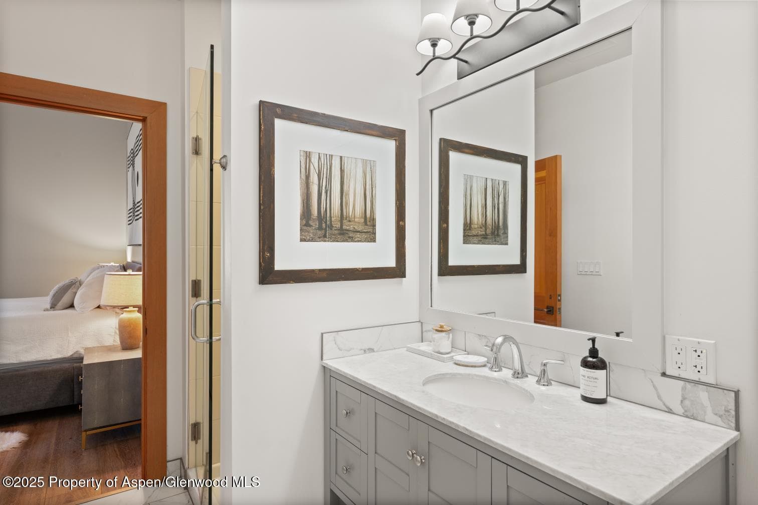 60 carriage 3029, Snowmass Village, CO 81615 - Photo 25