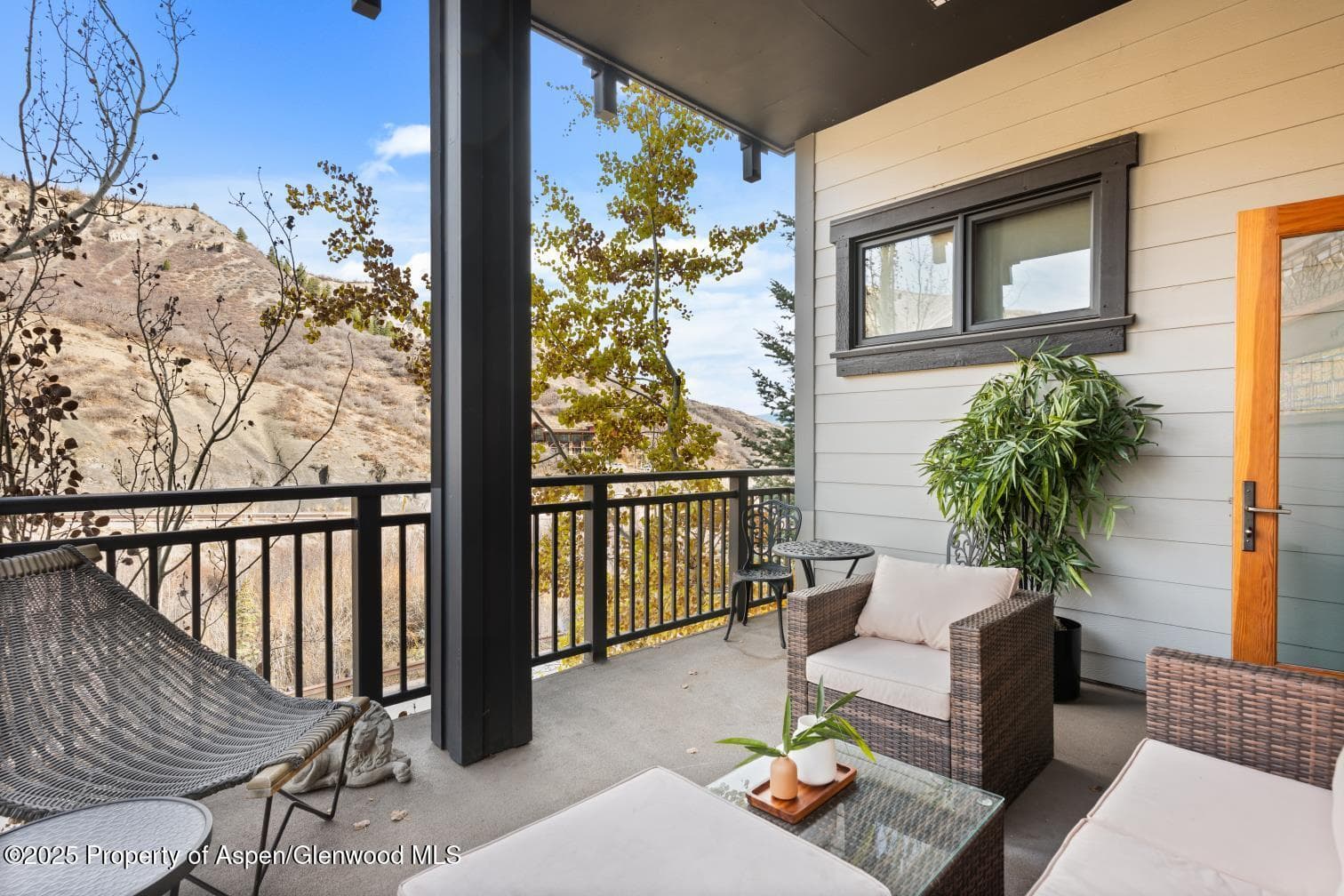 60 carriage 3029, Snowmass Village, CO 81615 - Photo 30