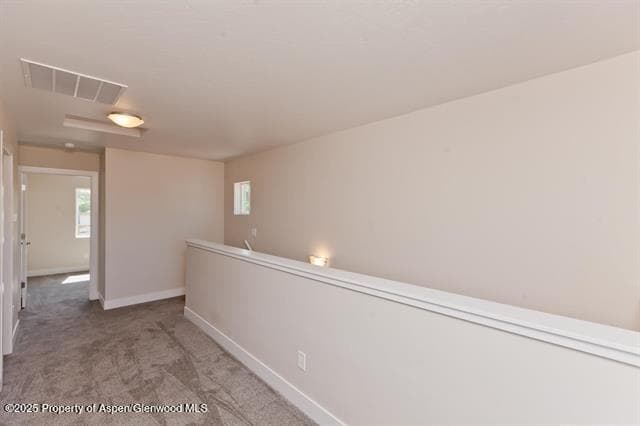234 Lena Lane, De Beque, CO 81630 - Photo 14