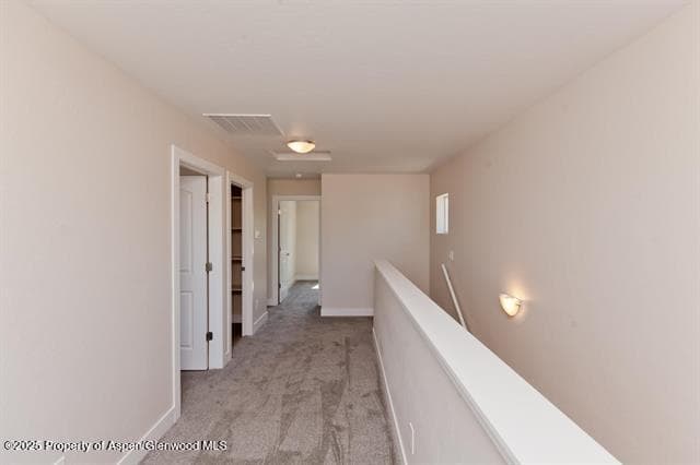 234 Lena Lane, De Beque, CO 81630 - Photo 15