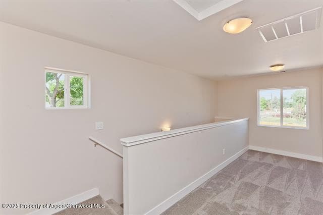234 Lena Lane, De Beque, CO 81630 - Photo 16