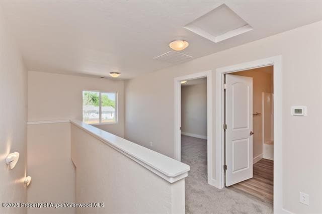234 Lena Lane, De Beque, CO 81630 - Photo 17