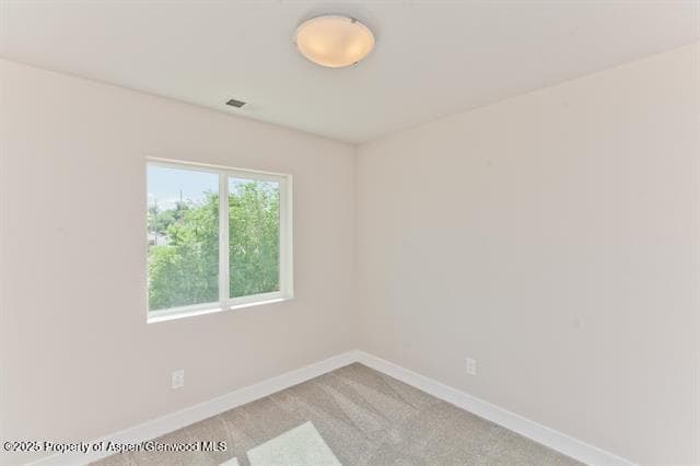 234 Lena Lane, De Beque, CO 81630 - Photo 29