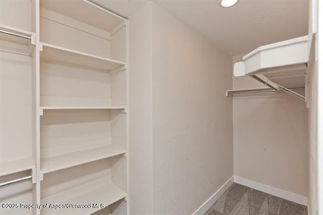 234 Lena Lane, De Beque, CO 81630 - Photo 37