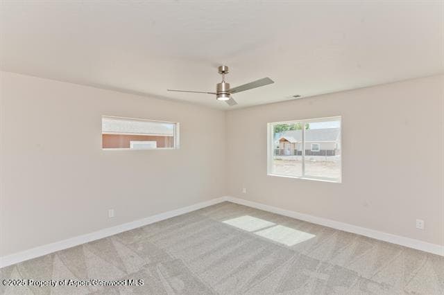 234 Lena Lane, De Beque, CO 81630 - Photo 38