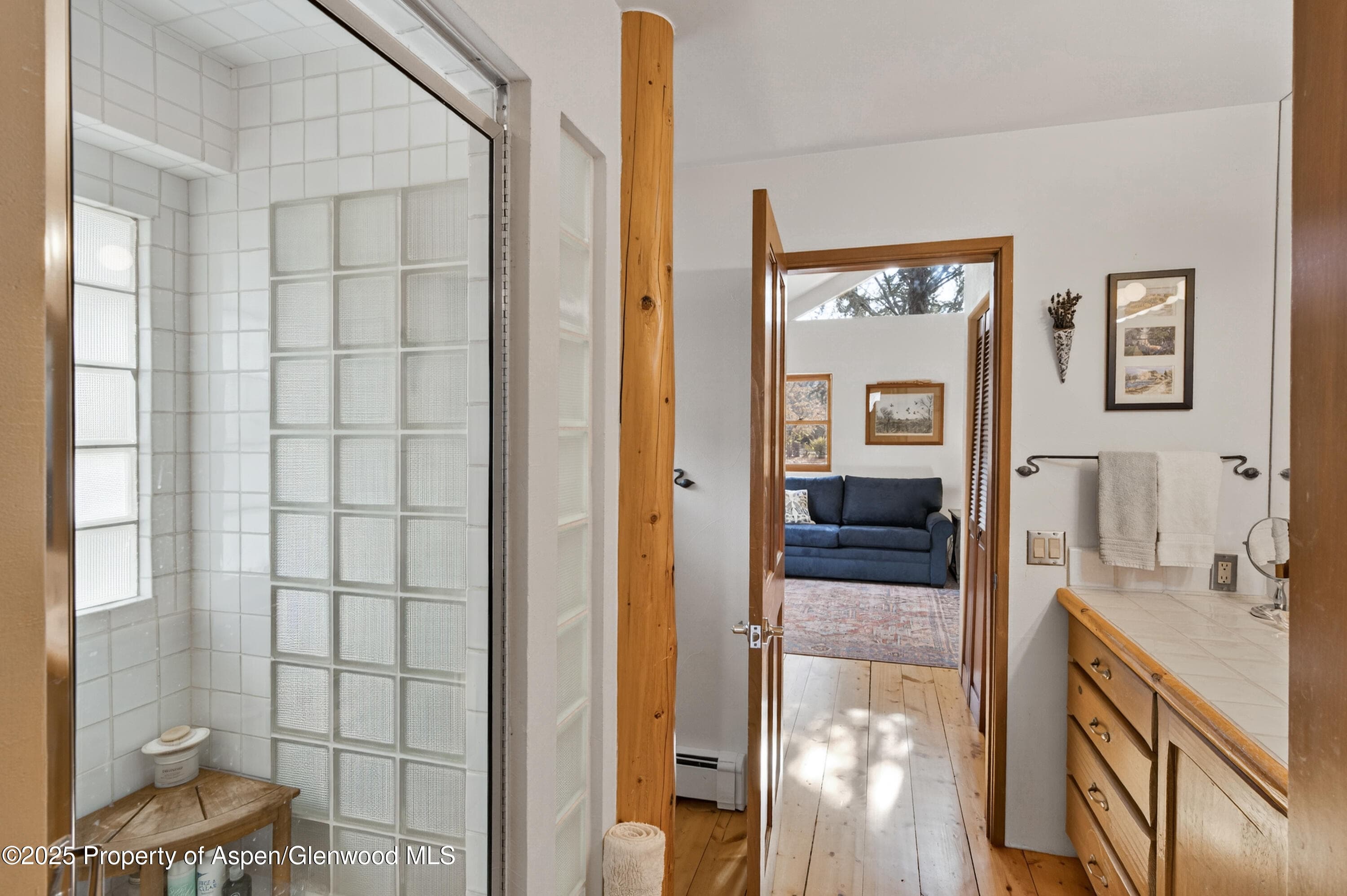 182 County Road 109, Glenwood Springs, CO 81601 - Photo 29