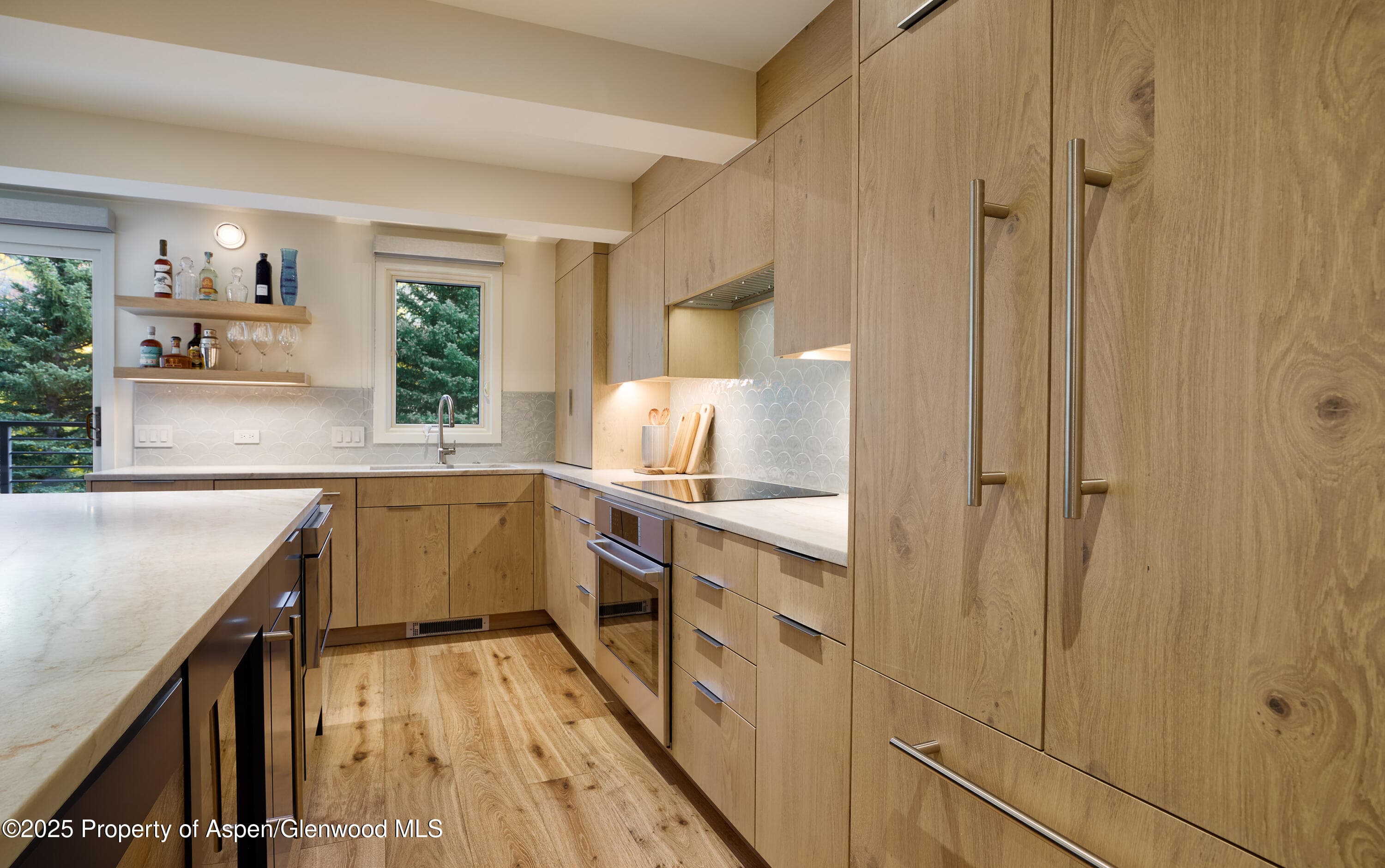 1039 E Cooper Avenue 14A, Aspen, CO 81611 - Photo 4