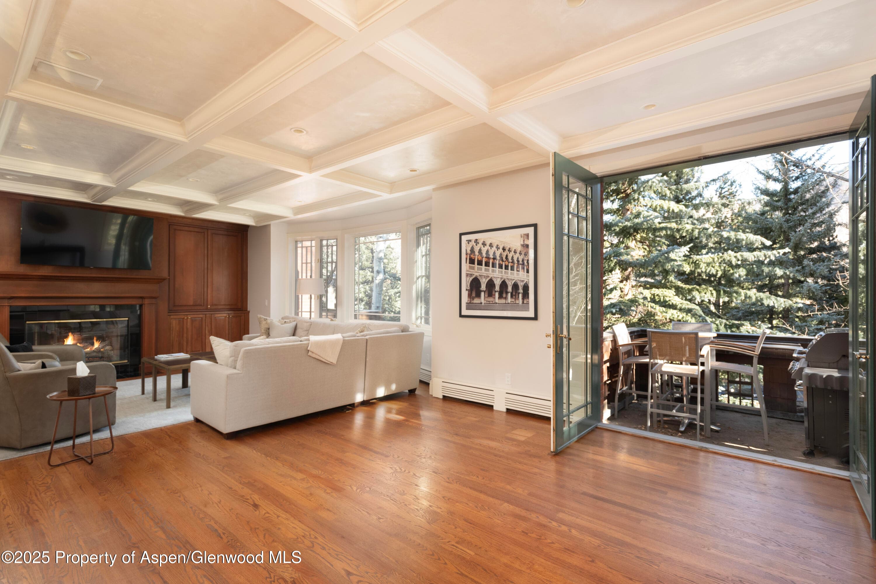 825 Ute Avenue A, Aspen, CO 81611 - Photo 5
