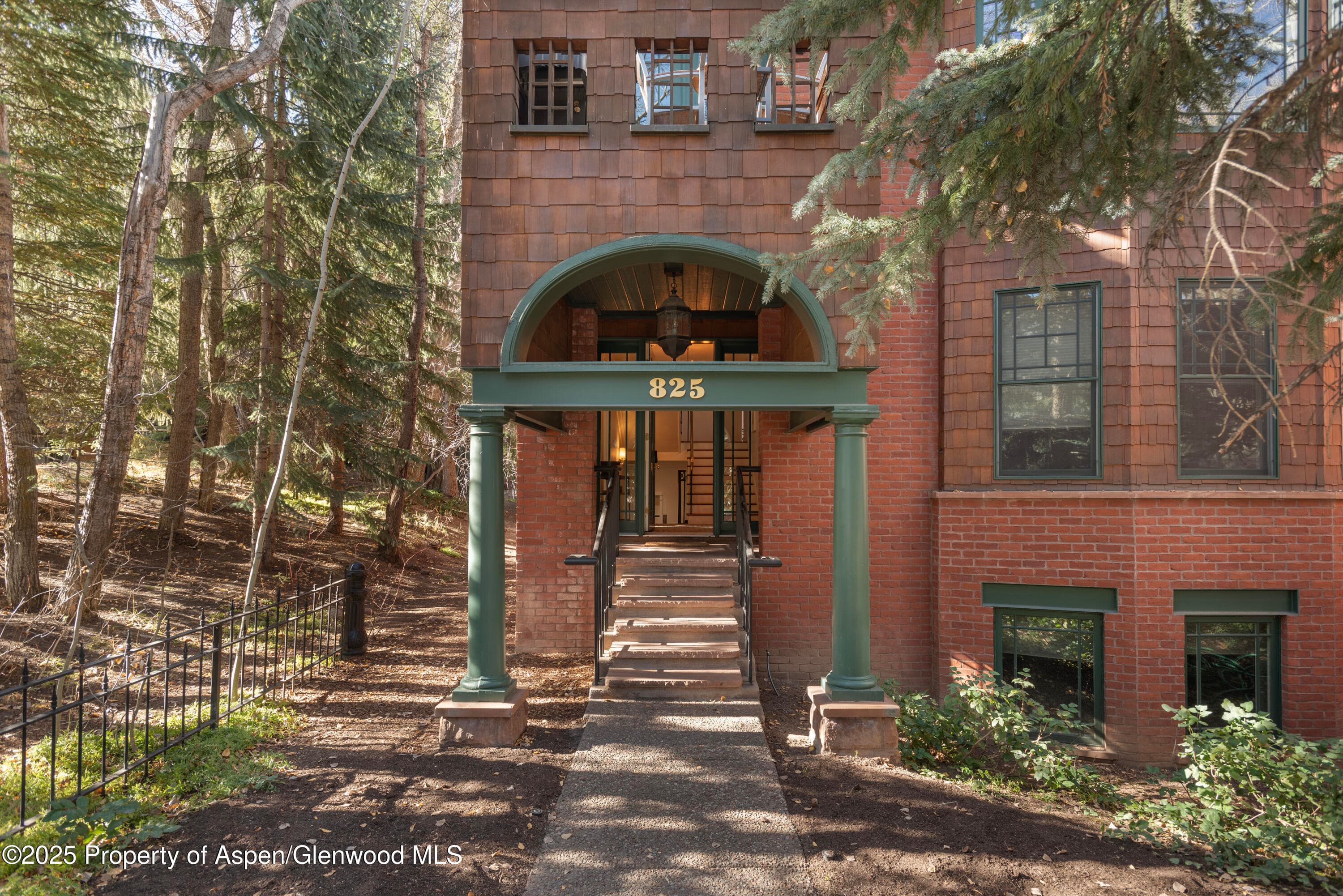 825 Ute Avenue A, Aspen, CO 81611 - Photo 21