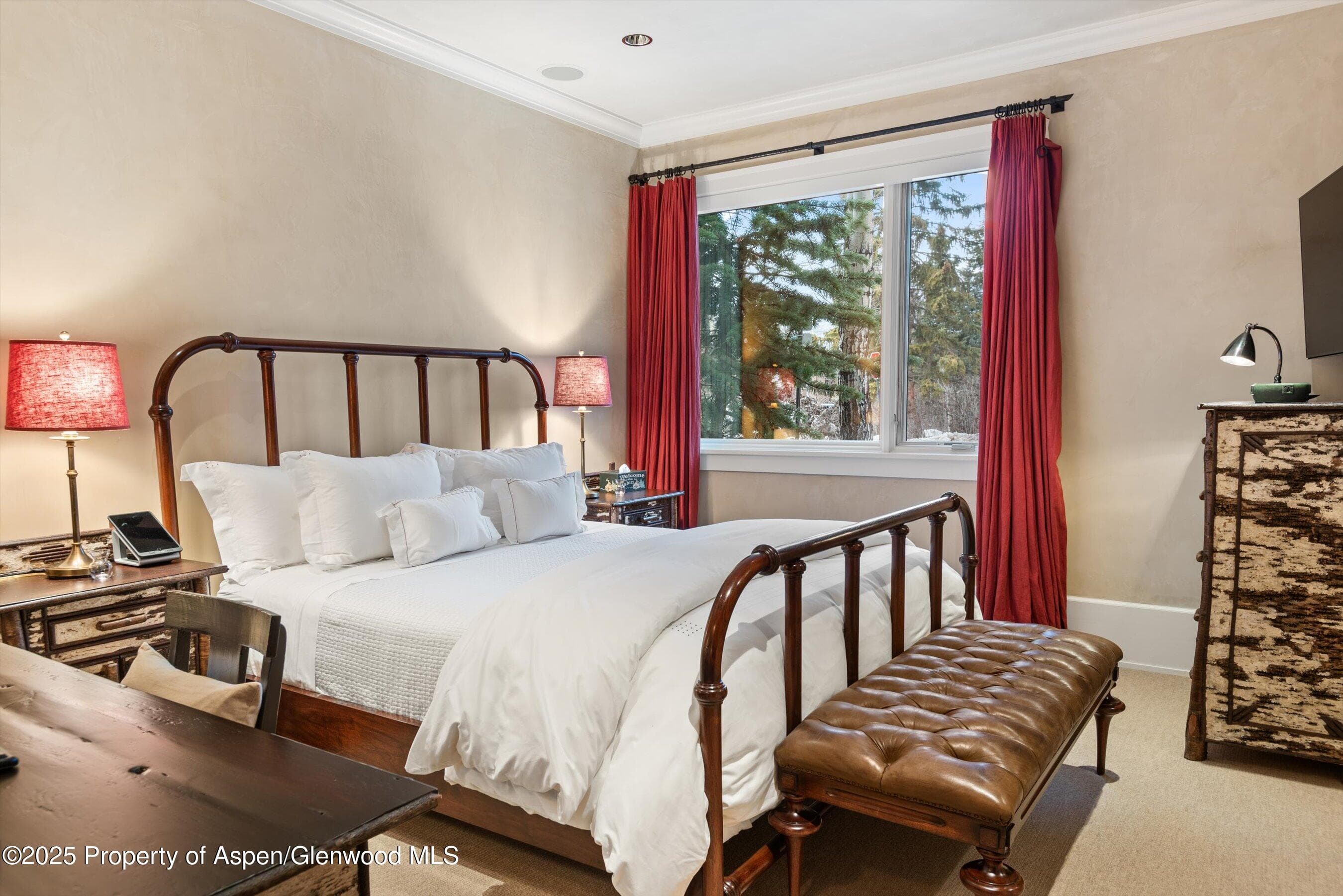 304 S Garmisch Street, Aspen, CO 81611 - Photo 23