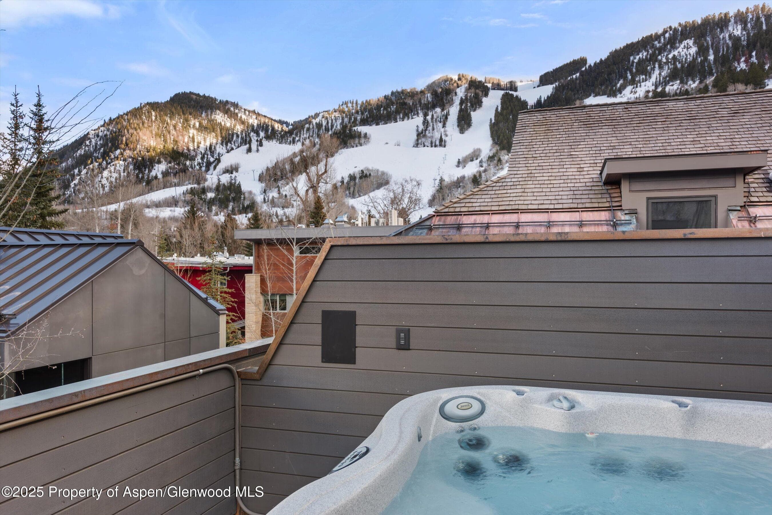 304 S Garmisch Street, Aspen, CO 81611 - Photo 38