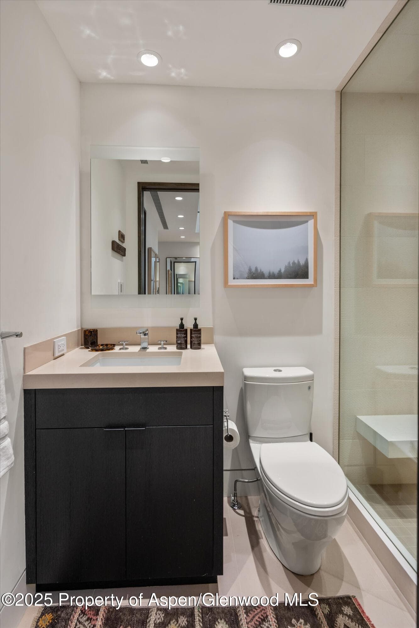 155 Lone Pine Road 12, Aspen, CO 81611 - Photo 16