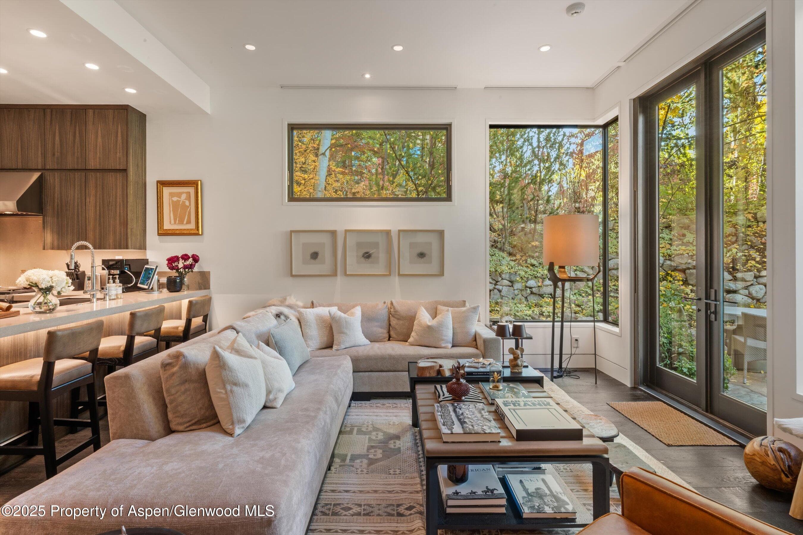 155 Lone Pine Road 12, Aspen, CO 81611 - Photo 5