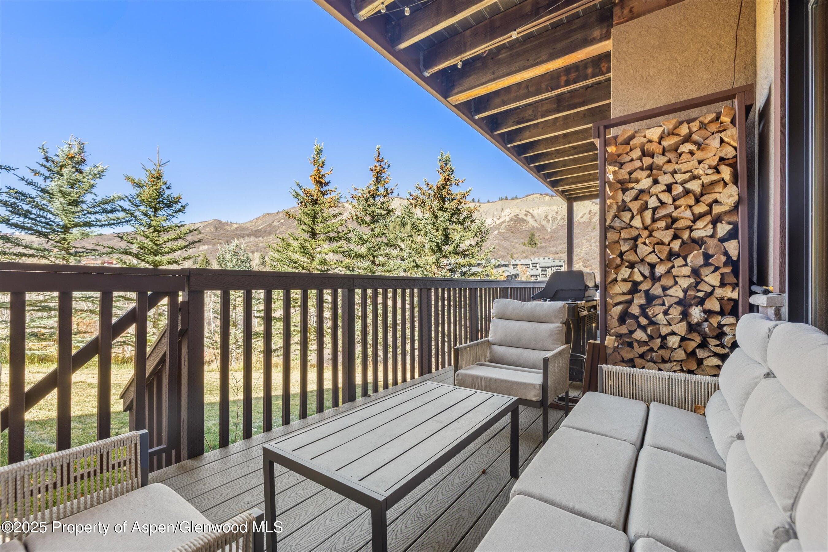 229 Faraway Road 35, Snowmass Village, CO 81615 - Photo 11