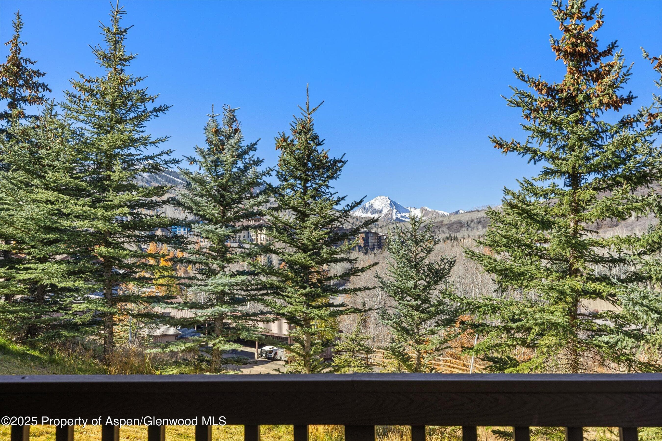 229 Faraway Road 35, Snowmass Village, CO 81615 - Photo 12