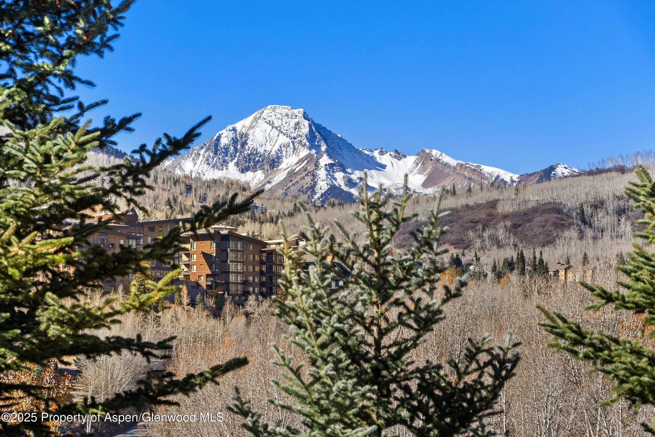 229 Faraway Road 35, Snowmass Village, CO 81615 - Photo 13