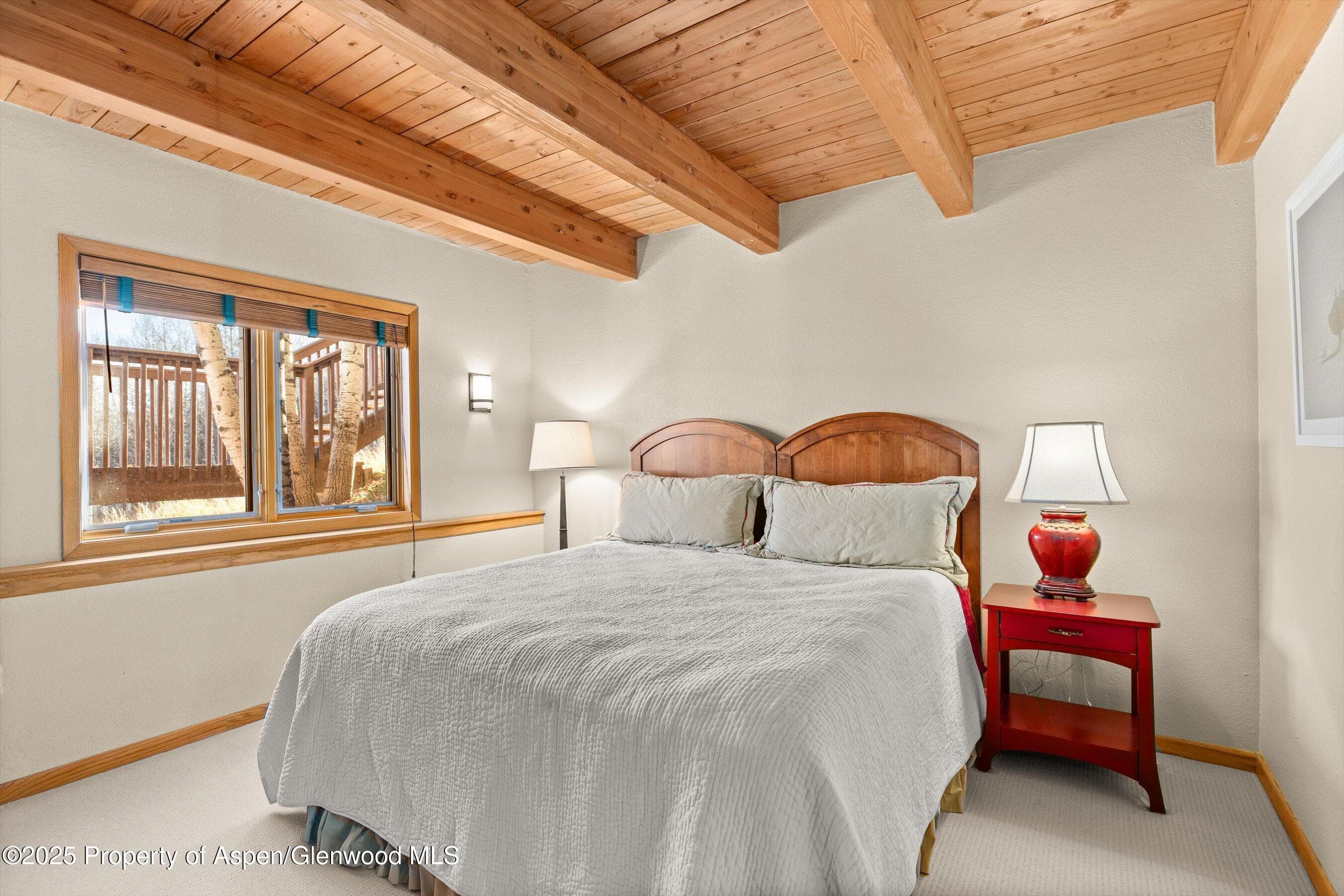 229 Faraway Road 35, Snowmass Village, CO 81615 - Photo 16