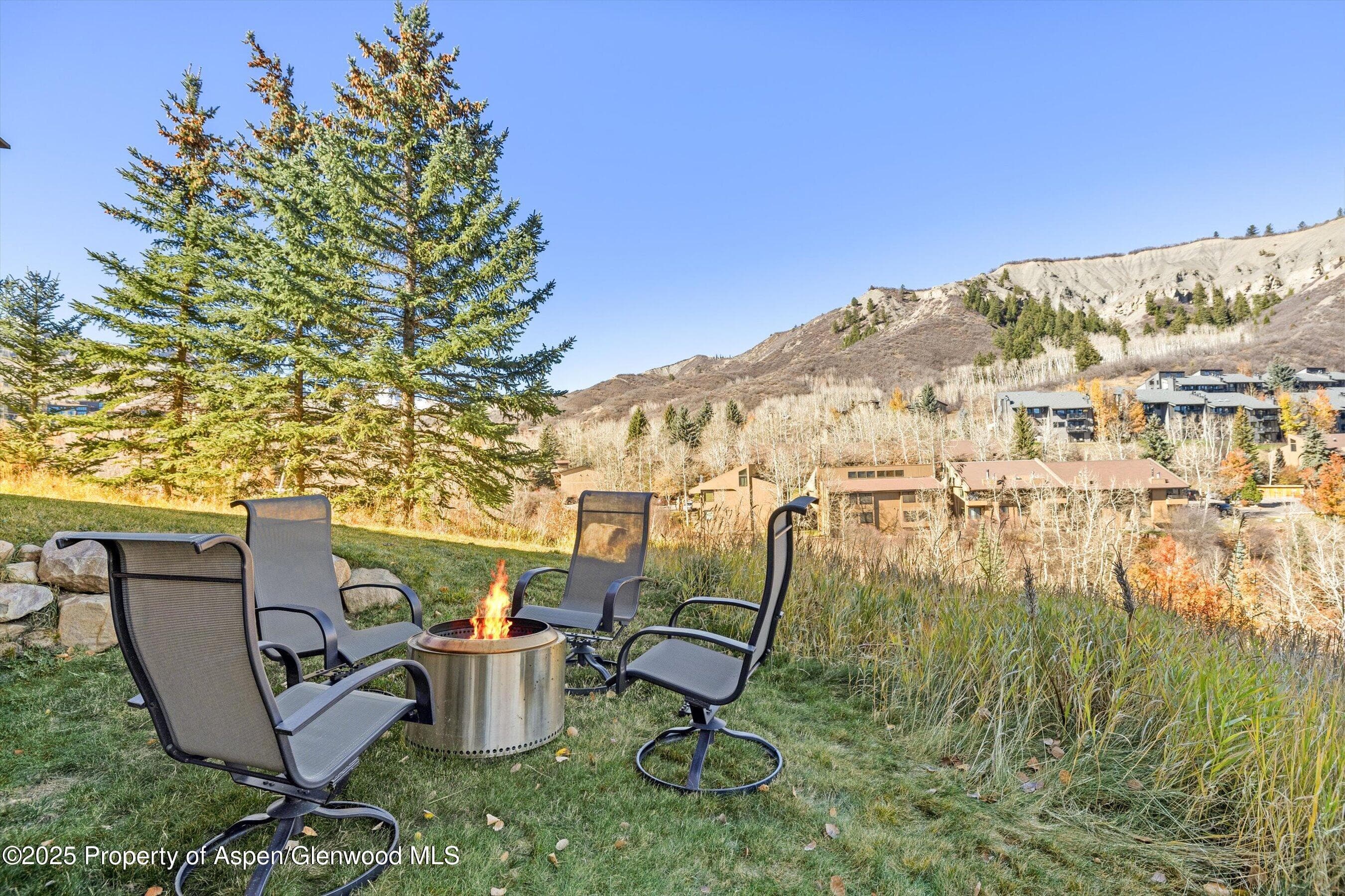 229 Faraway Road 35, Snowmass Village, CO 81615 - Photo 28