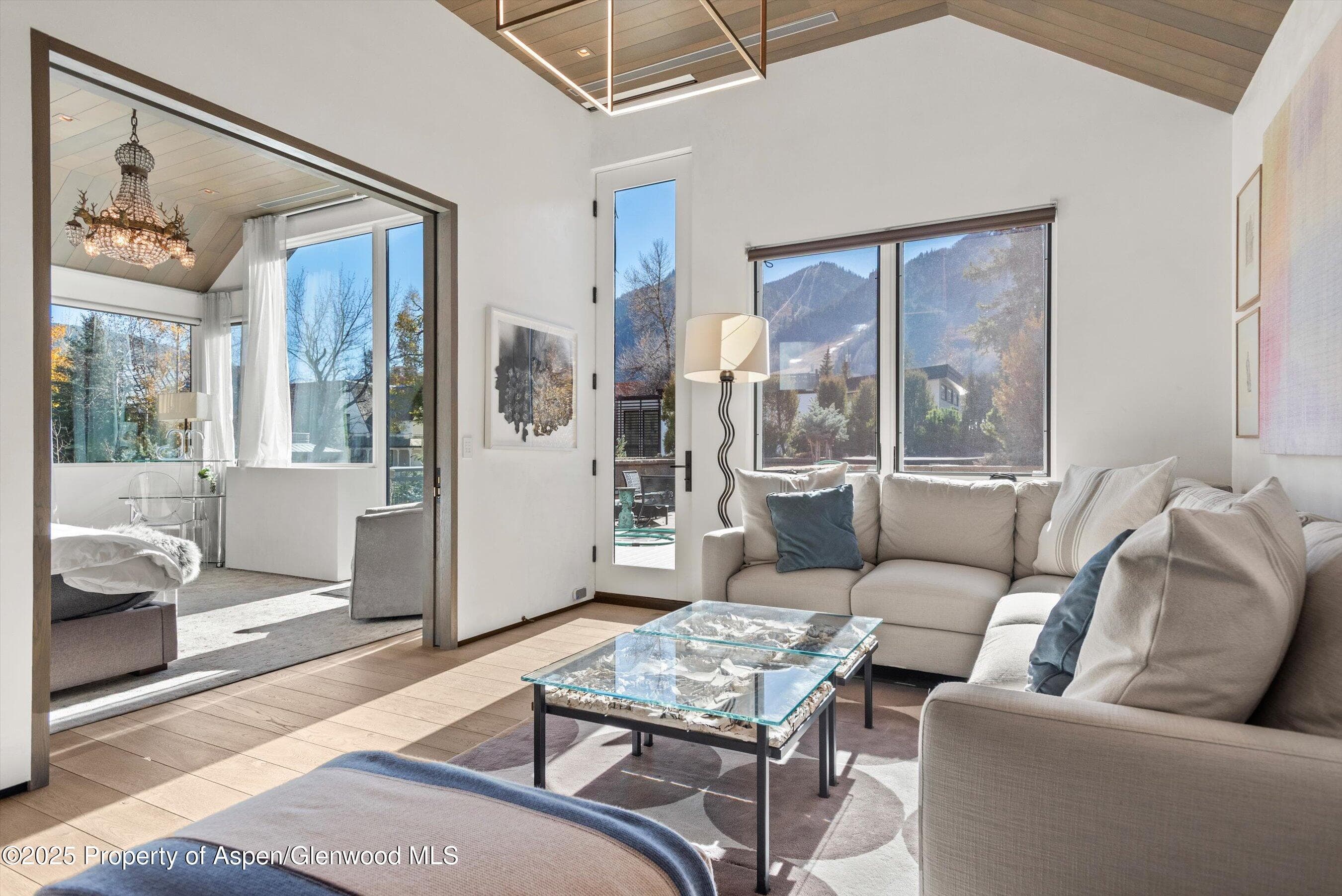219 N Monarch Street, Aspen, CO 81611 - Photo 15