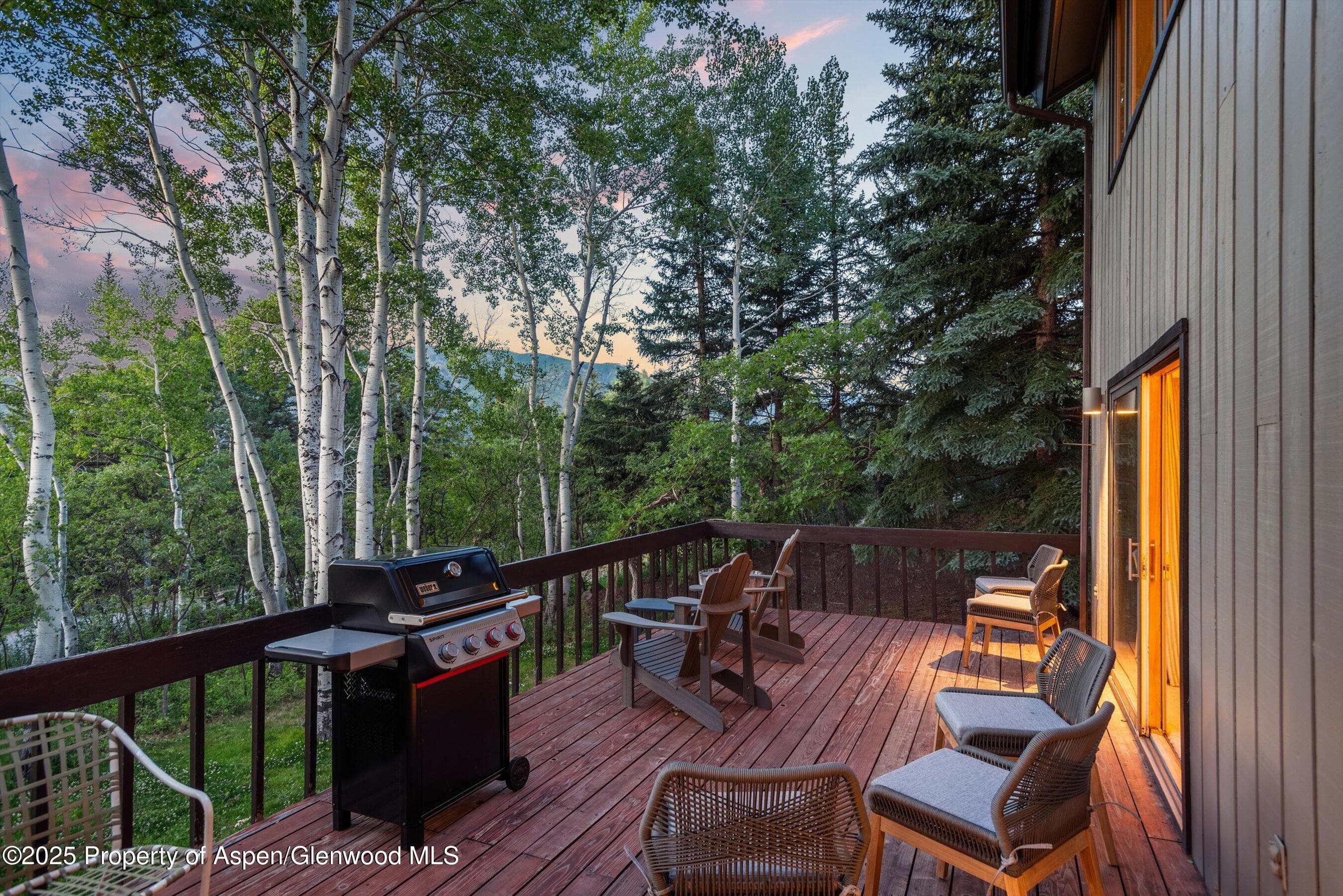 28 Larkspur Lane, Aspen, CO 81611 - Photo 30