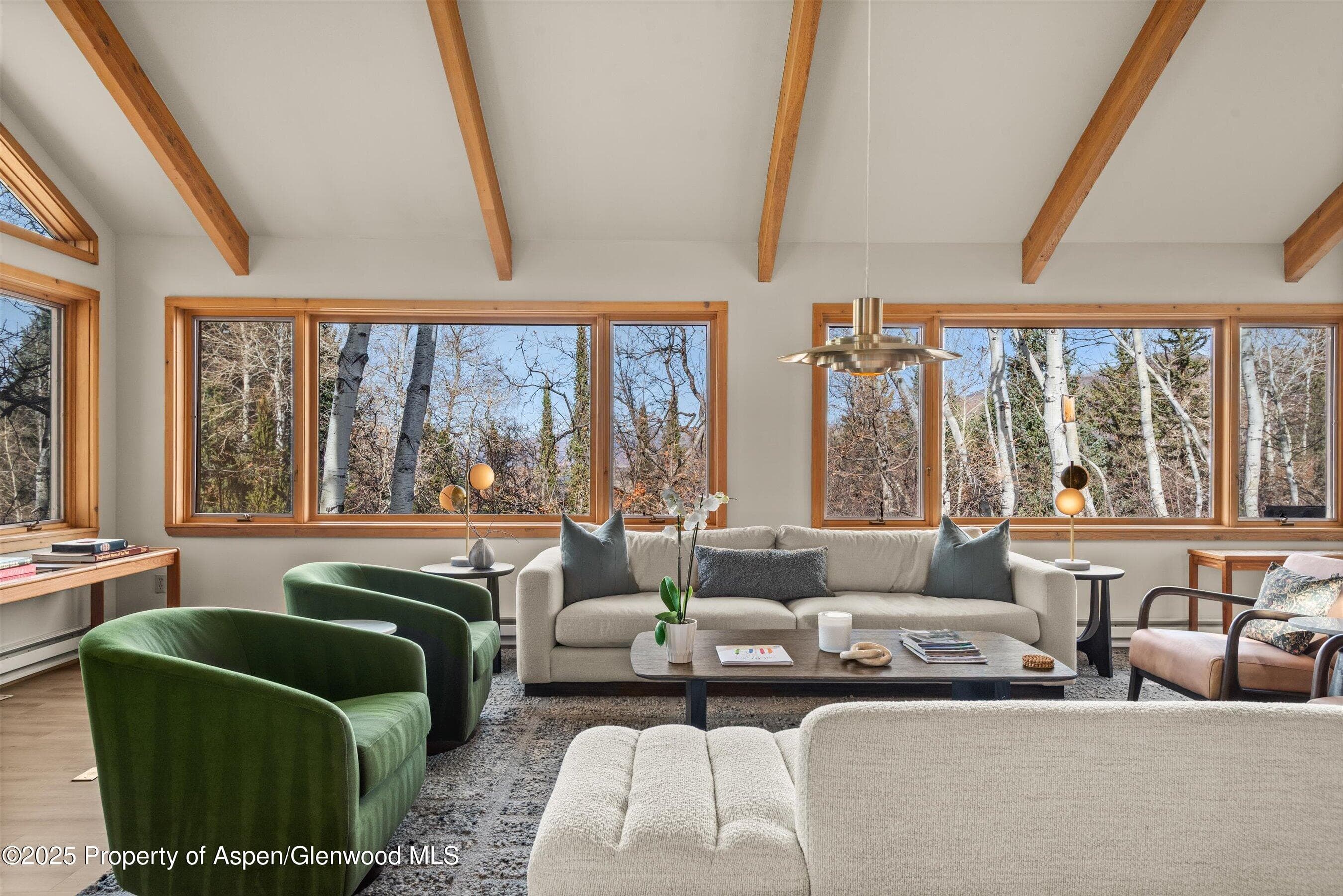28 Larkspur Lane, Aspen, CO 81611 - Photo 6