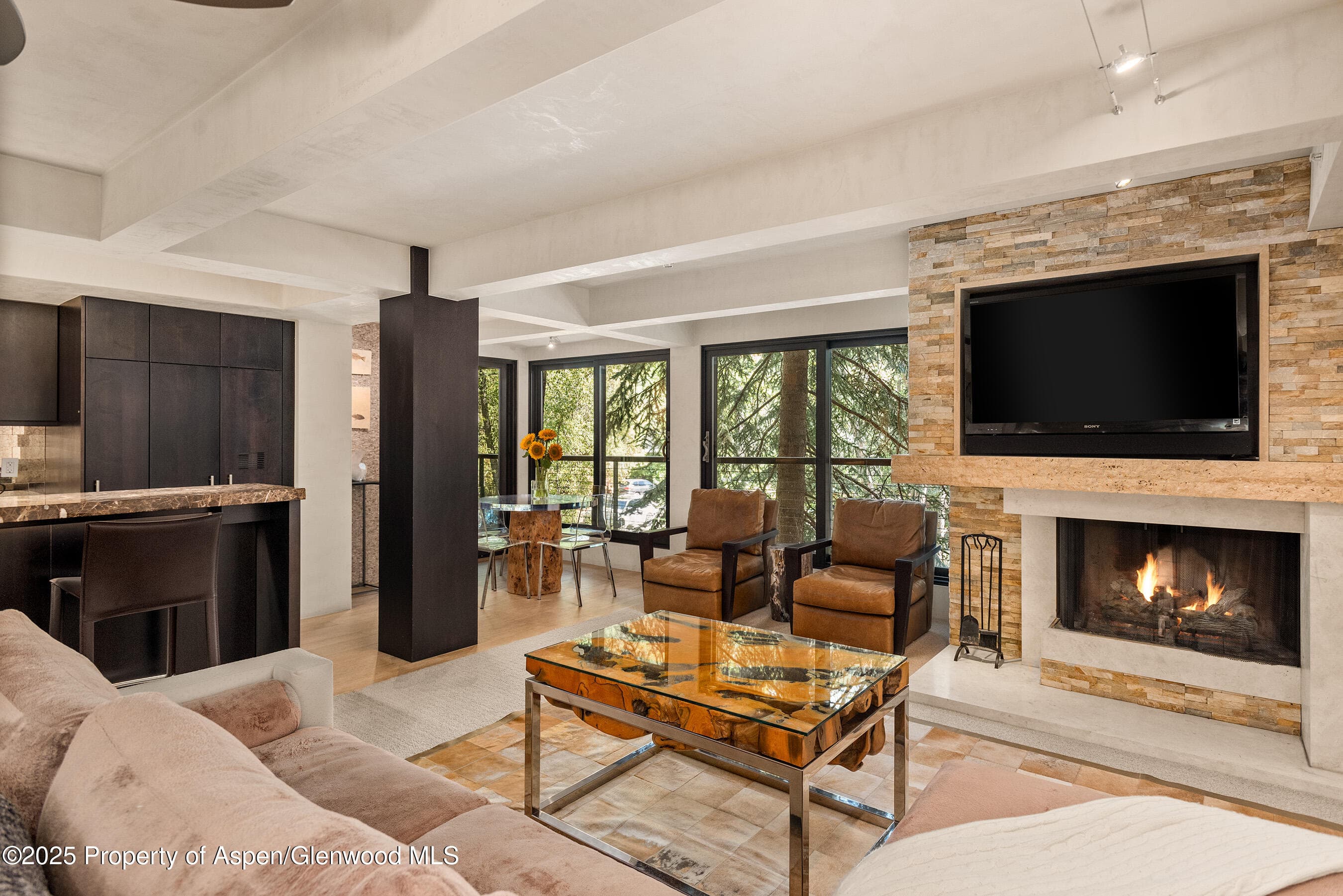 1034 E Cooper Avenue 26, Aspen, CO 81611