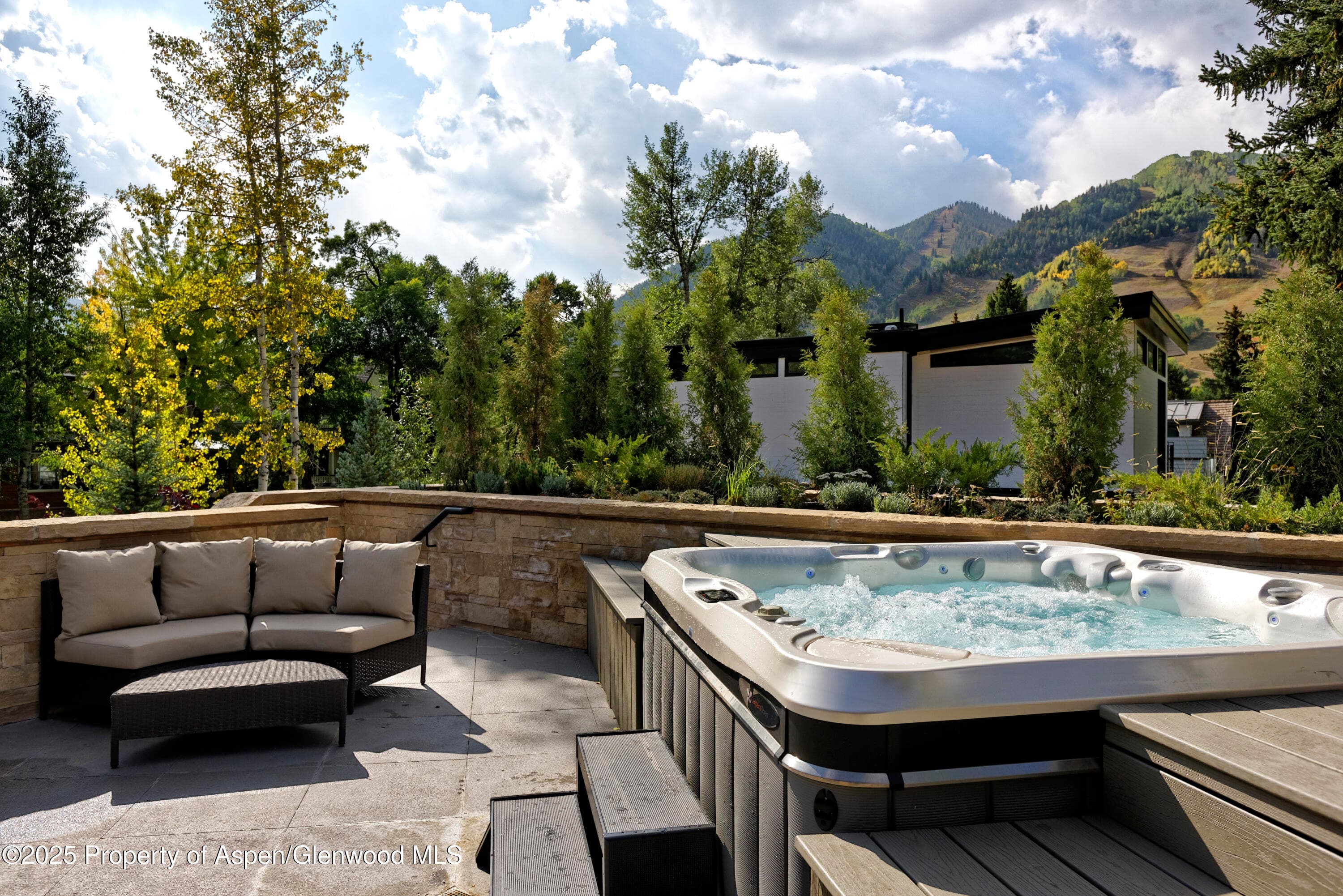 219 N Monarch Street, Aspen, CO 81611 - Photo 34