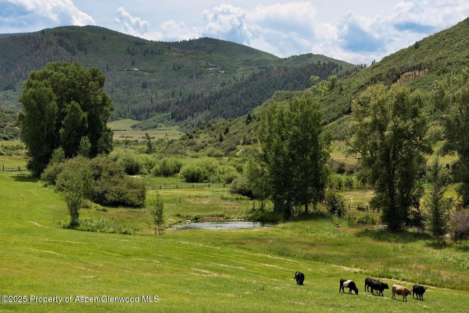 1814 Woody Creek Road, Woody Creek, CO 81656 - Photo 10