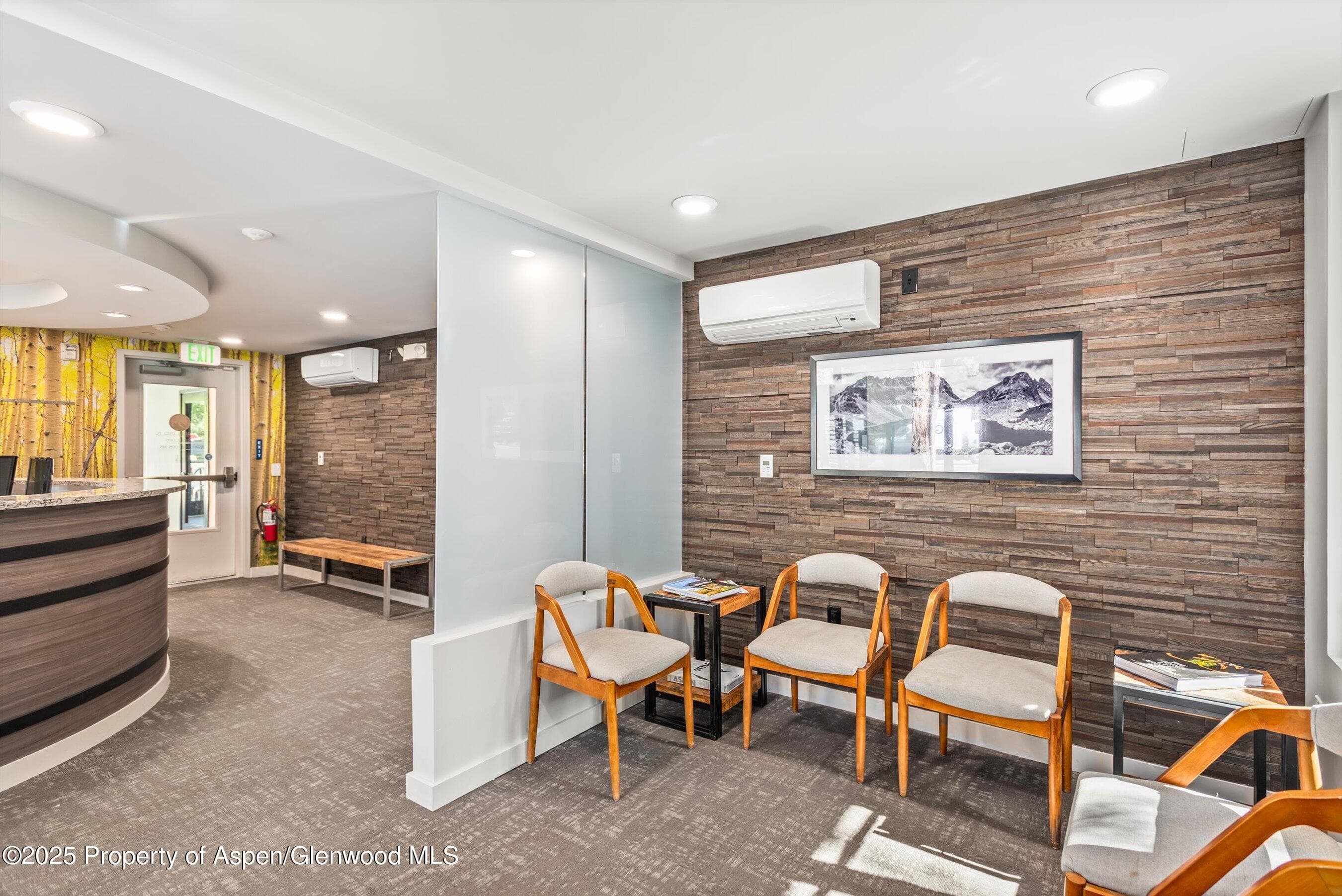 100 E Main Street 1, Aspen, CO 81611 - Photo 8