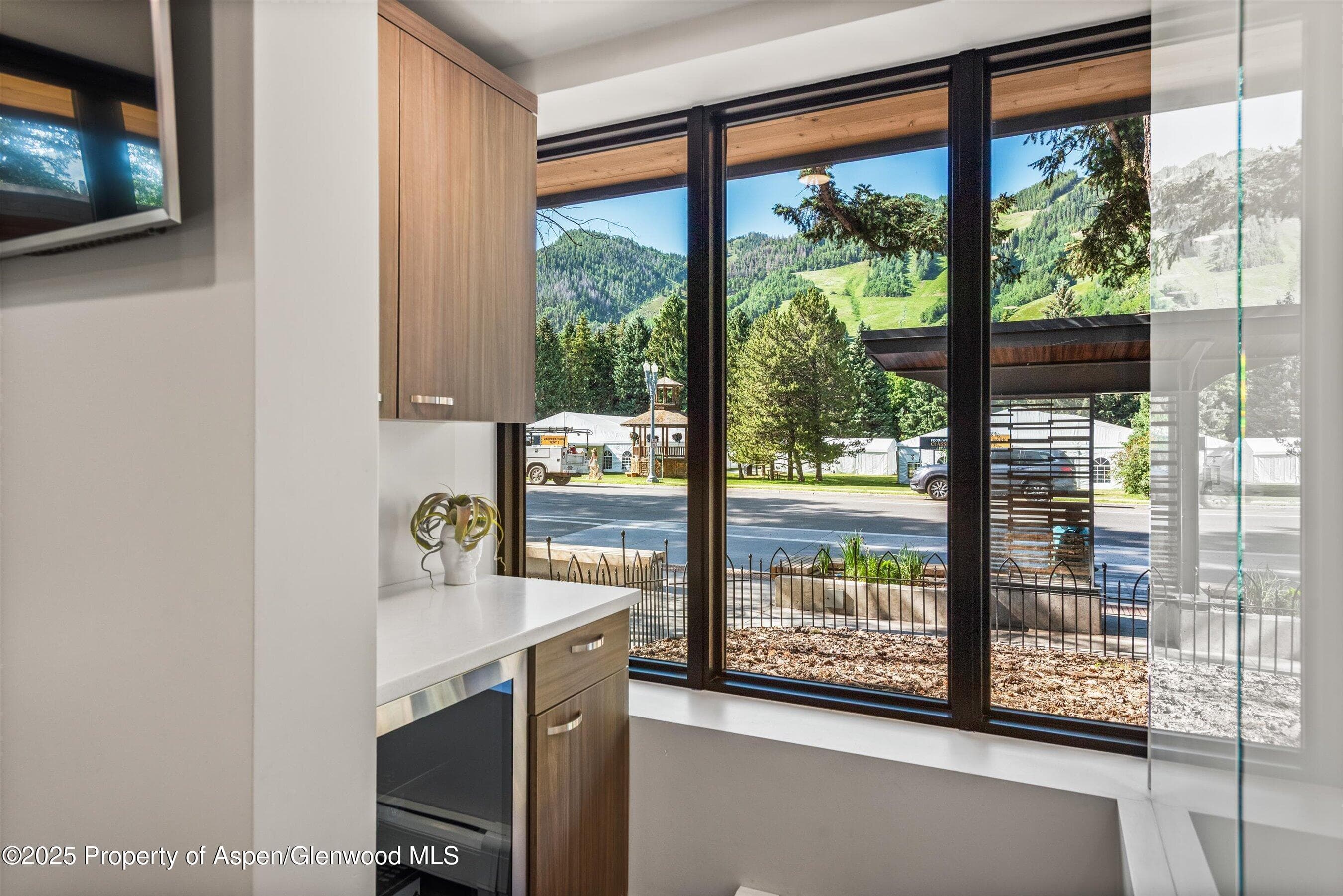 100 E Main Street 1, Aspen, CO 81611 - Photo 9