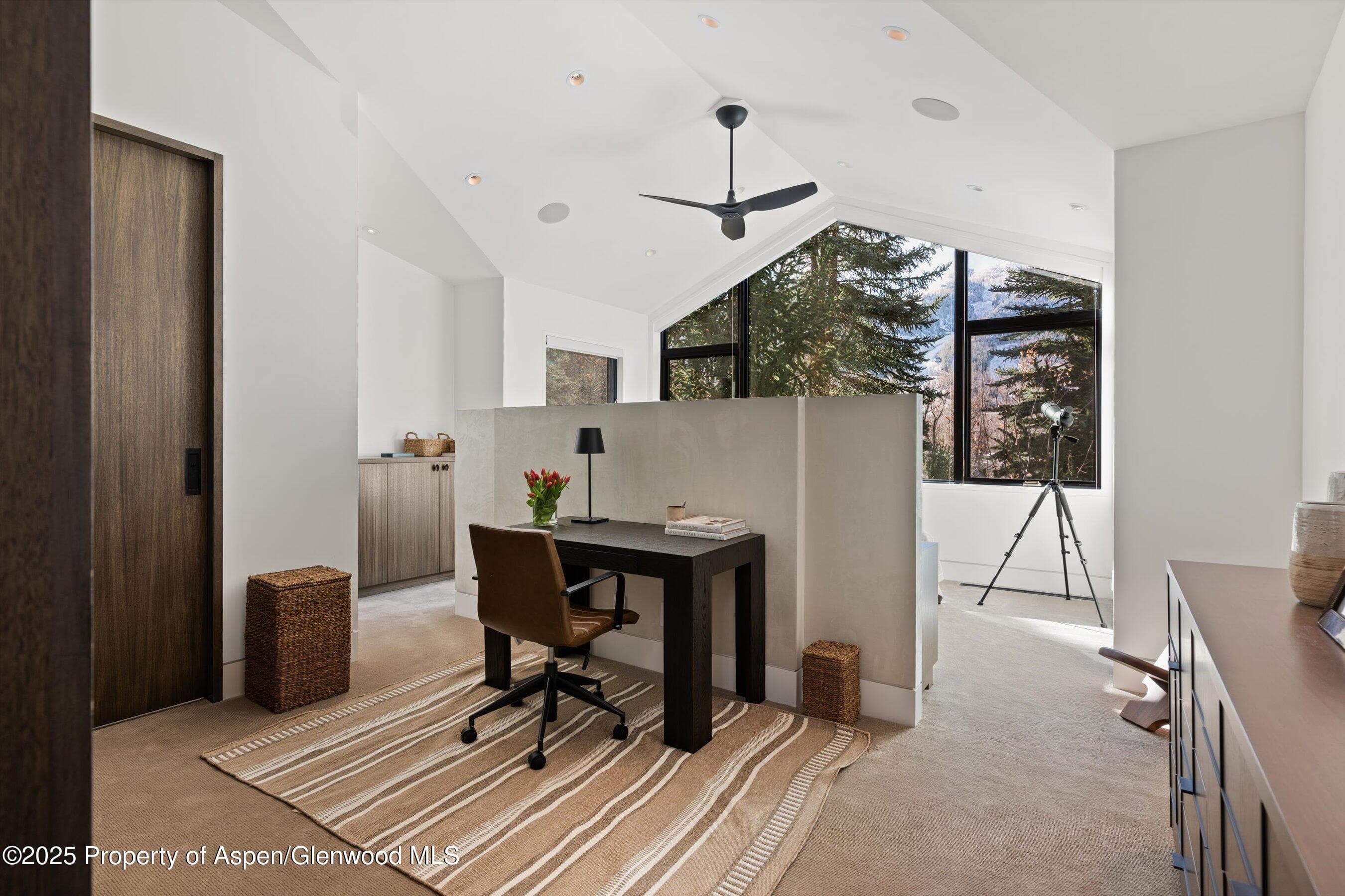 155 Lone Pine Road 12, Aspen, CO 81611 - Photo 21