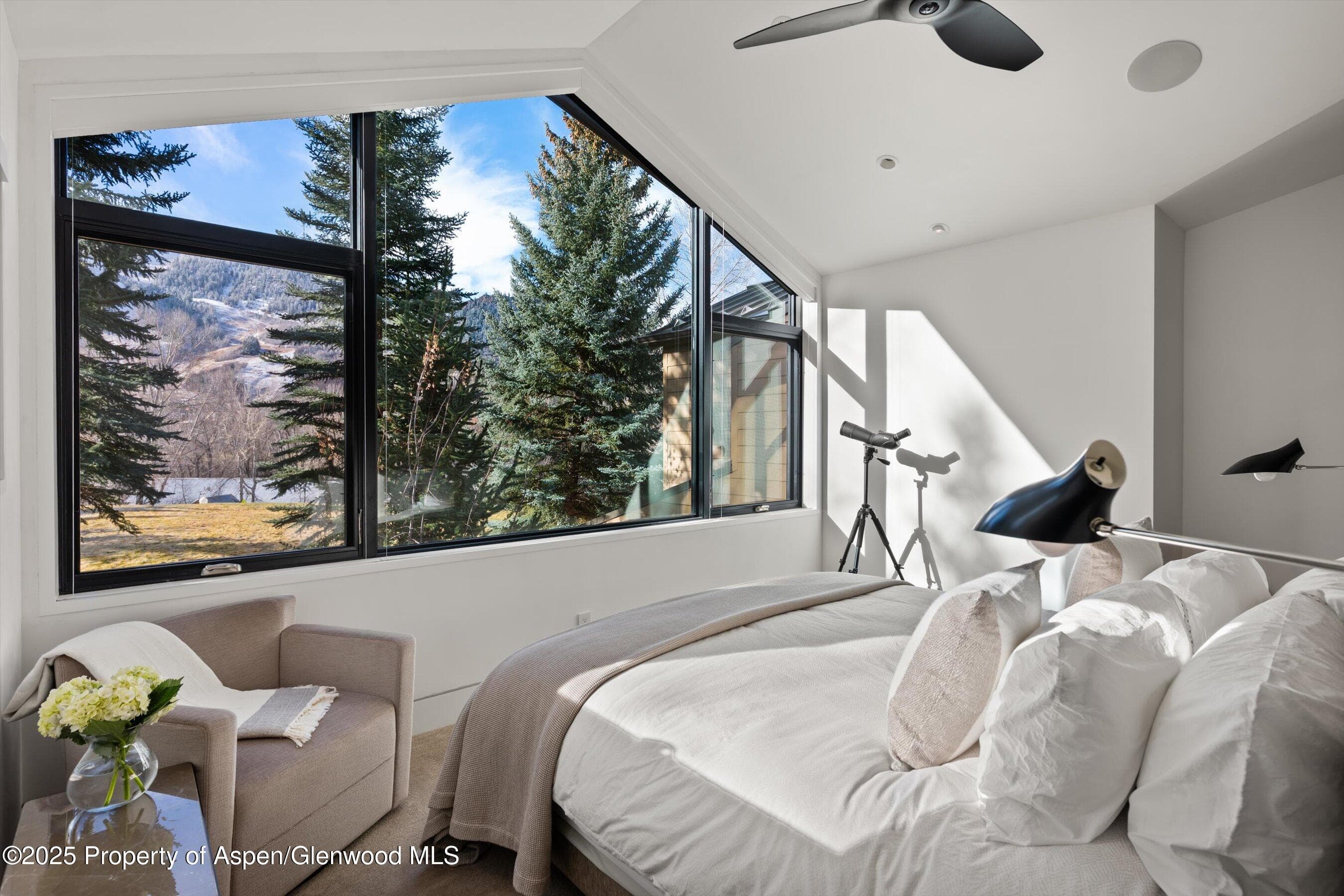 155 Lone Pine Road 12, Aspen, CO 81611 - Photo 23