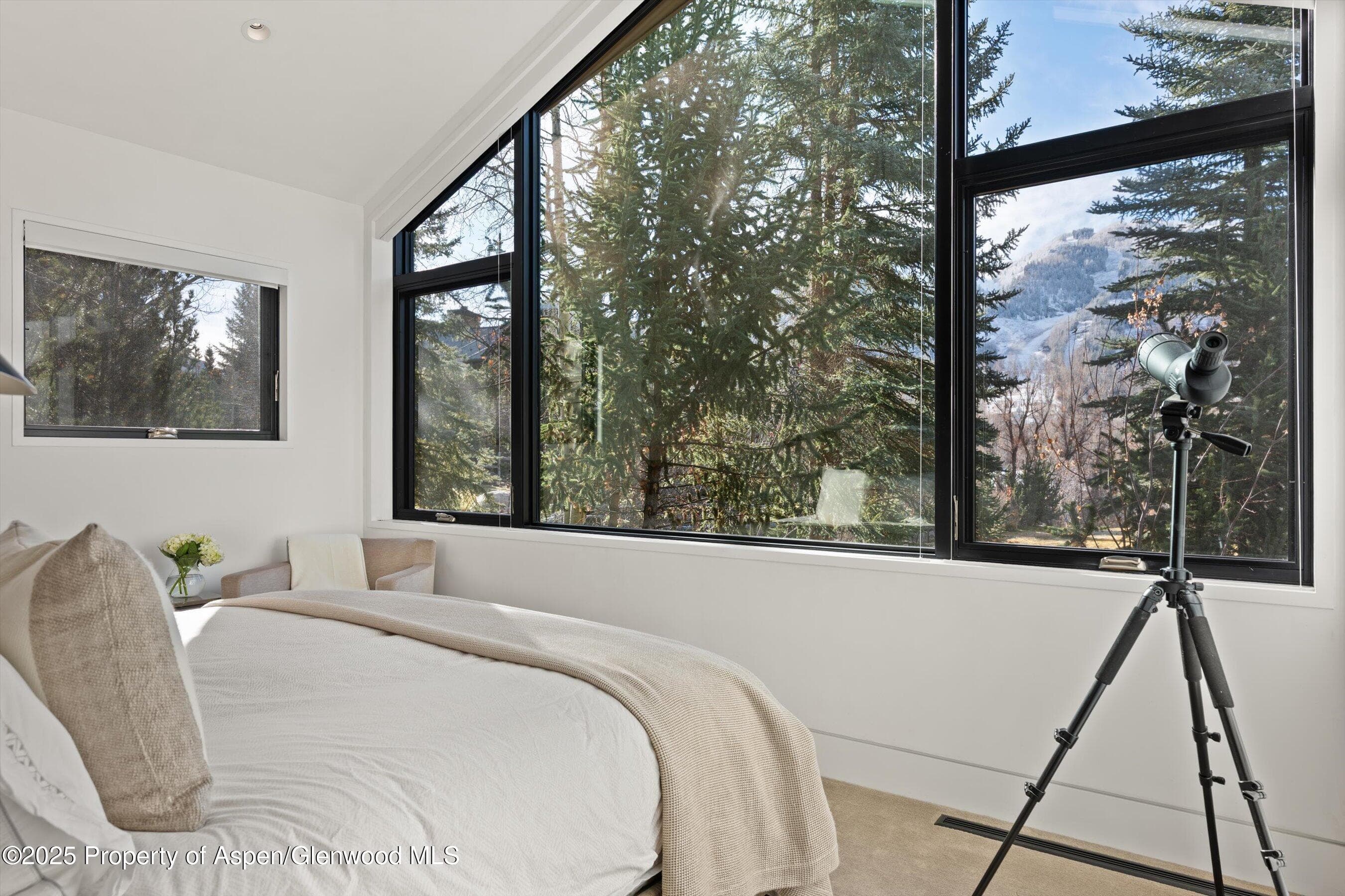155 Lone Pine Road 12, Aspen, CO 81611 - Photo 24