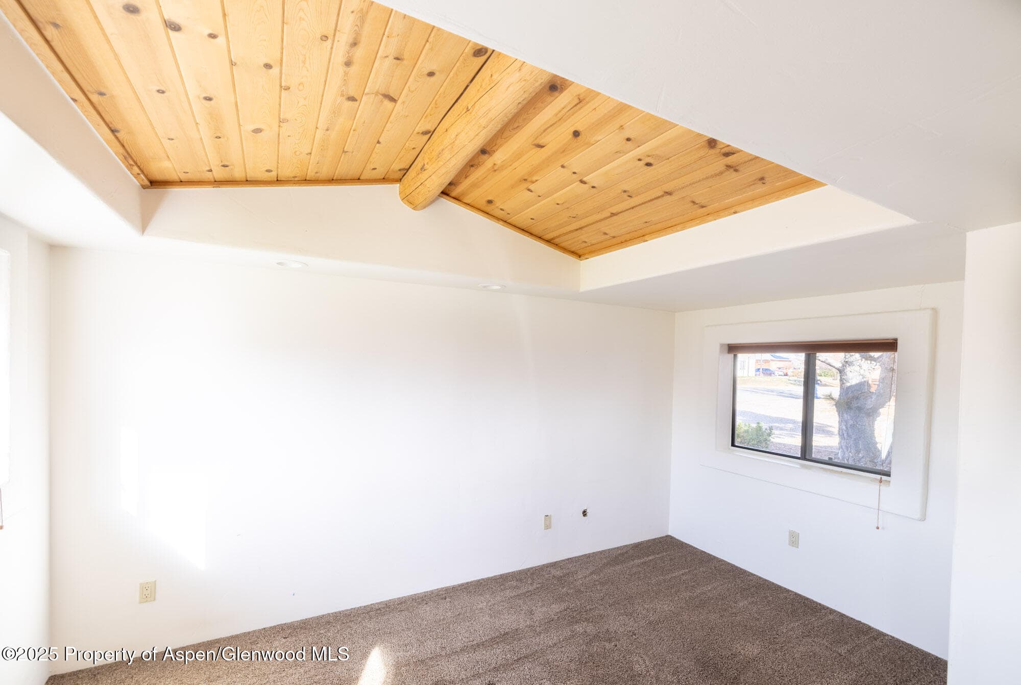 240 Clarkson Avenue, Rifle, CO 81650 - Photo 10