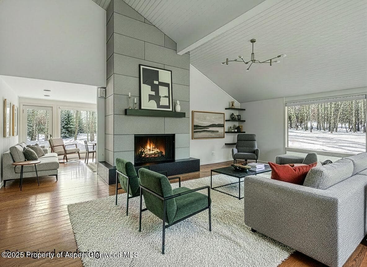 209 Larkspur Lane, Aspen, CO 81611 - Photo 9