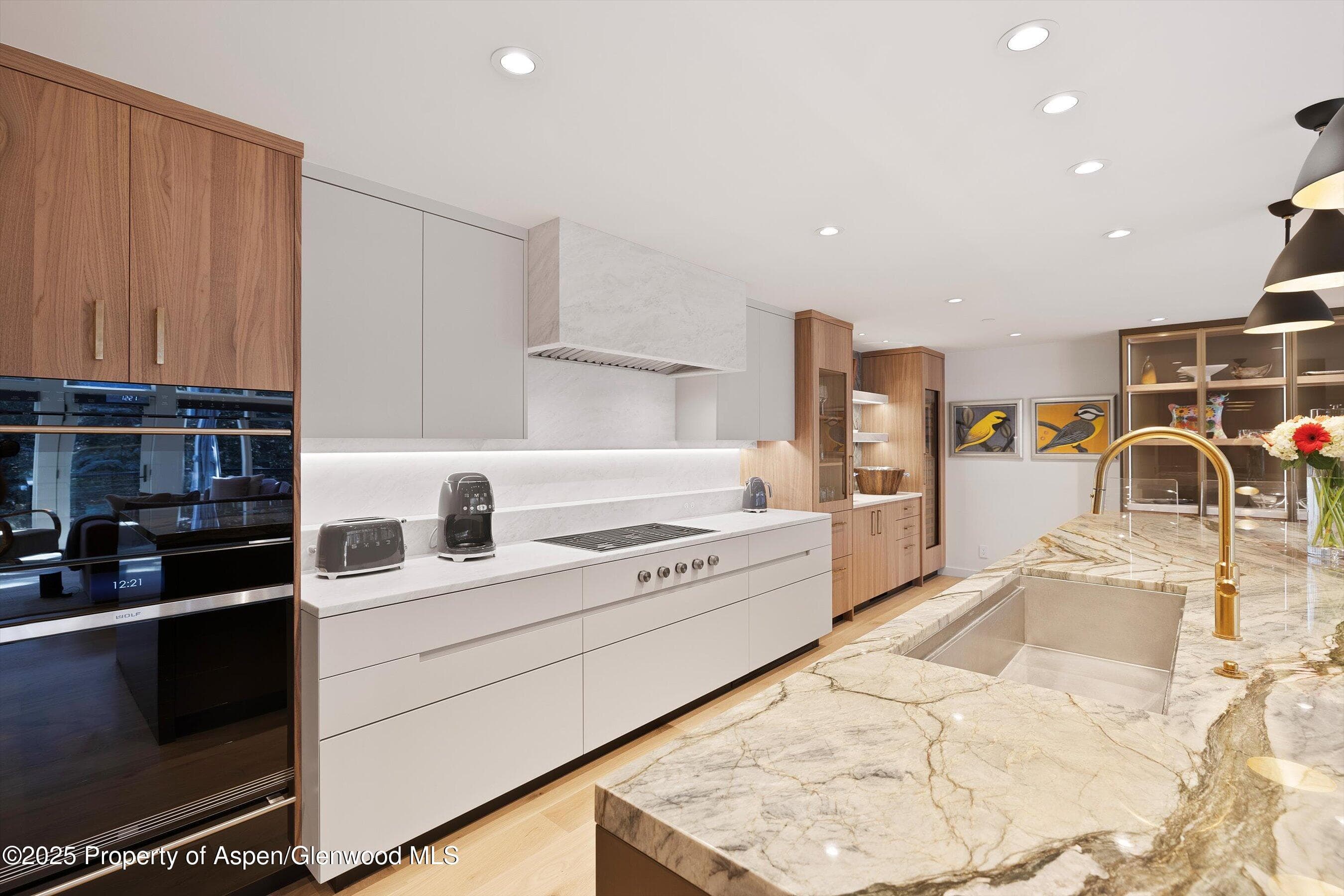 55 Smuggler Grove Road, Aspen, CO 81611 - Photo 13