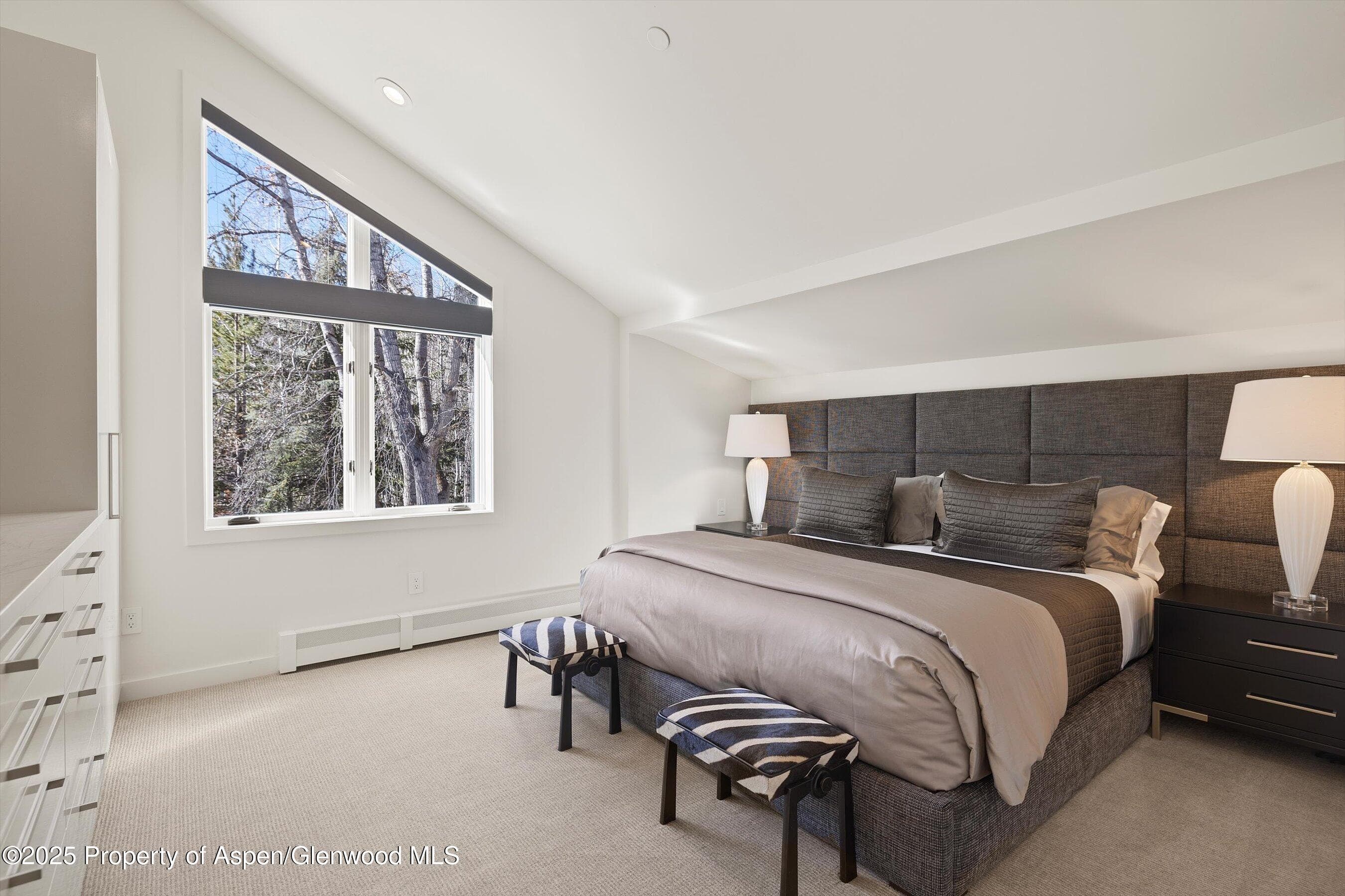55 Smuggler Grove Road, Aspen, CO 81611 - Photo 34